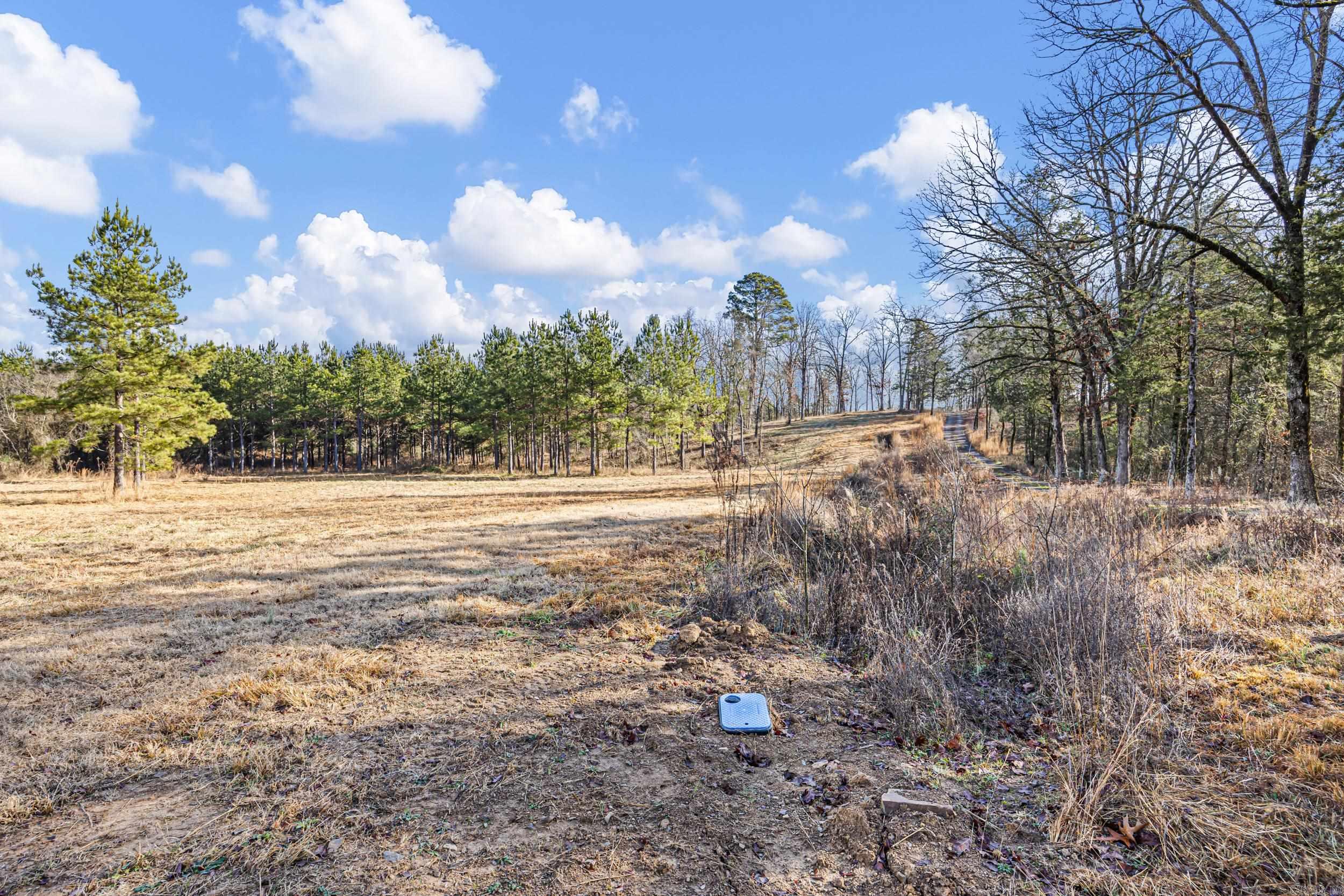 5675 Highway 123  Lamar, AR