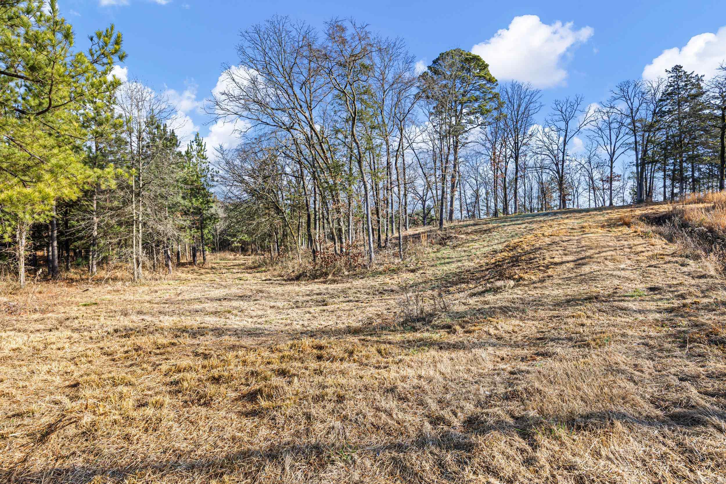 5675 Highway 123  Lamar, AR