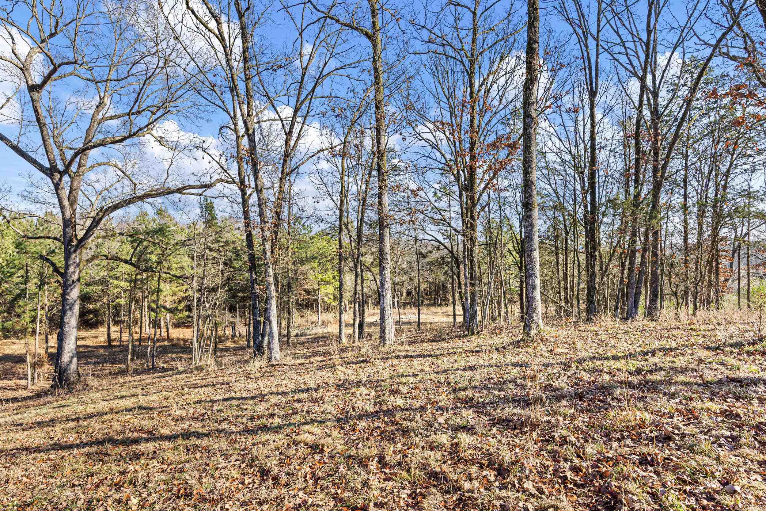 5675 Highway 123  Lamar, AR