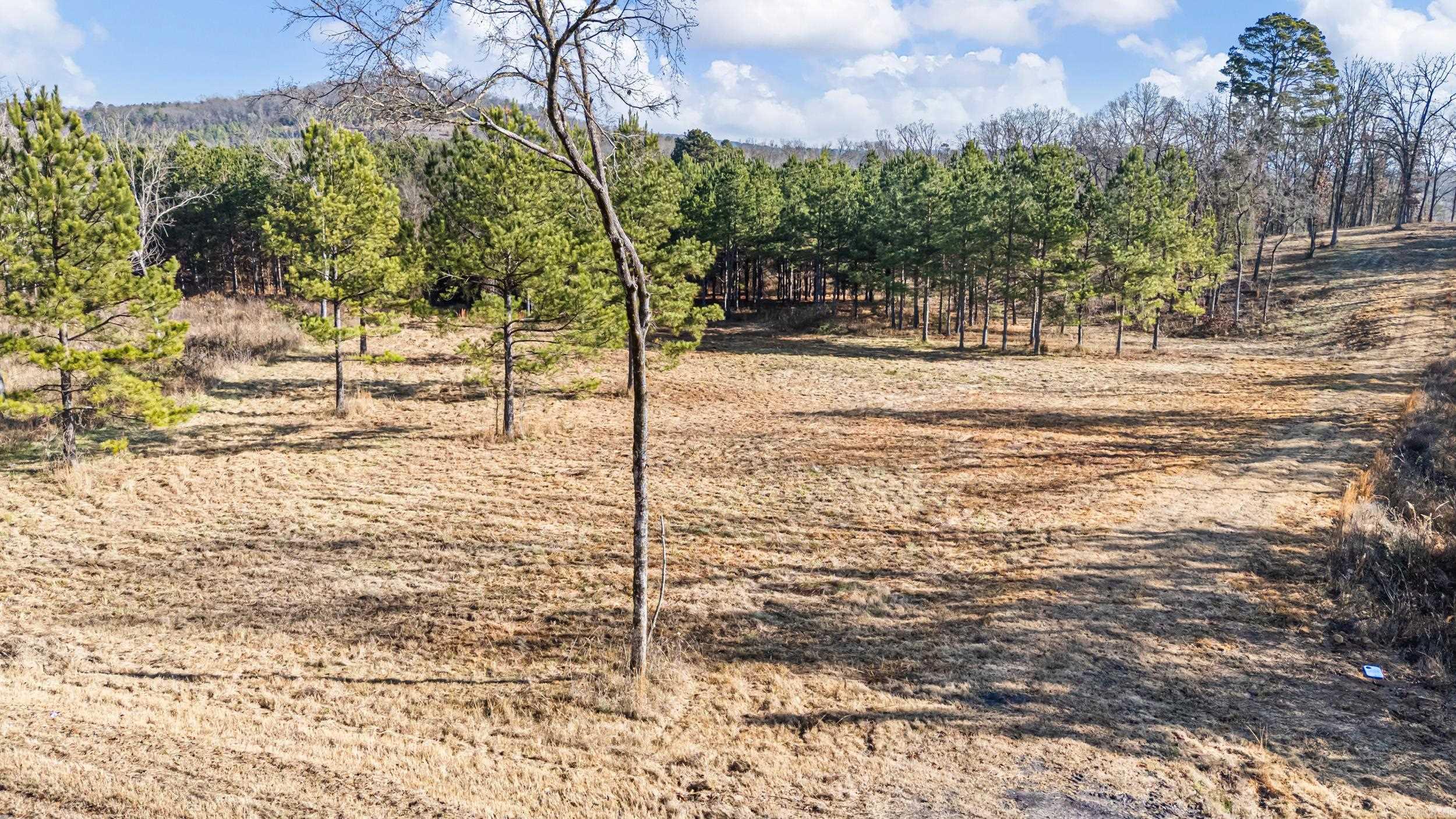 5675 Highway 123  Lamar, AR