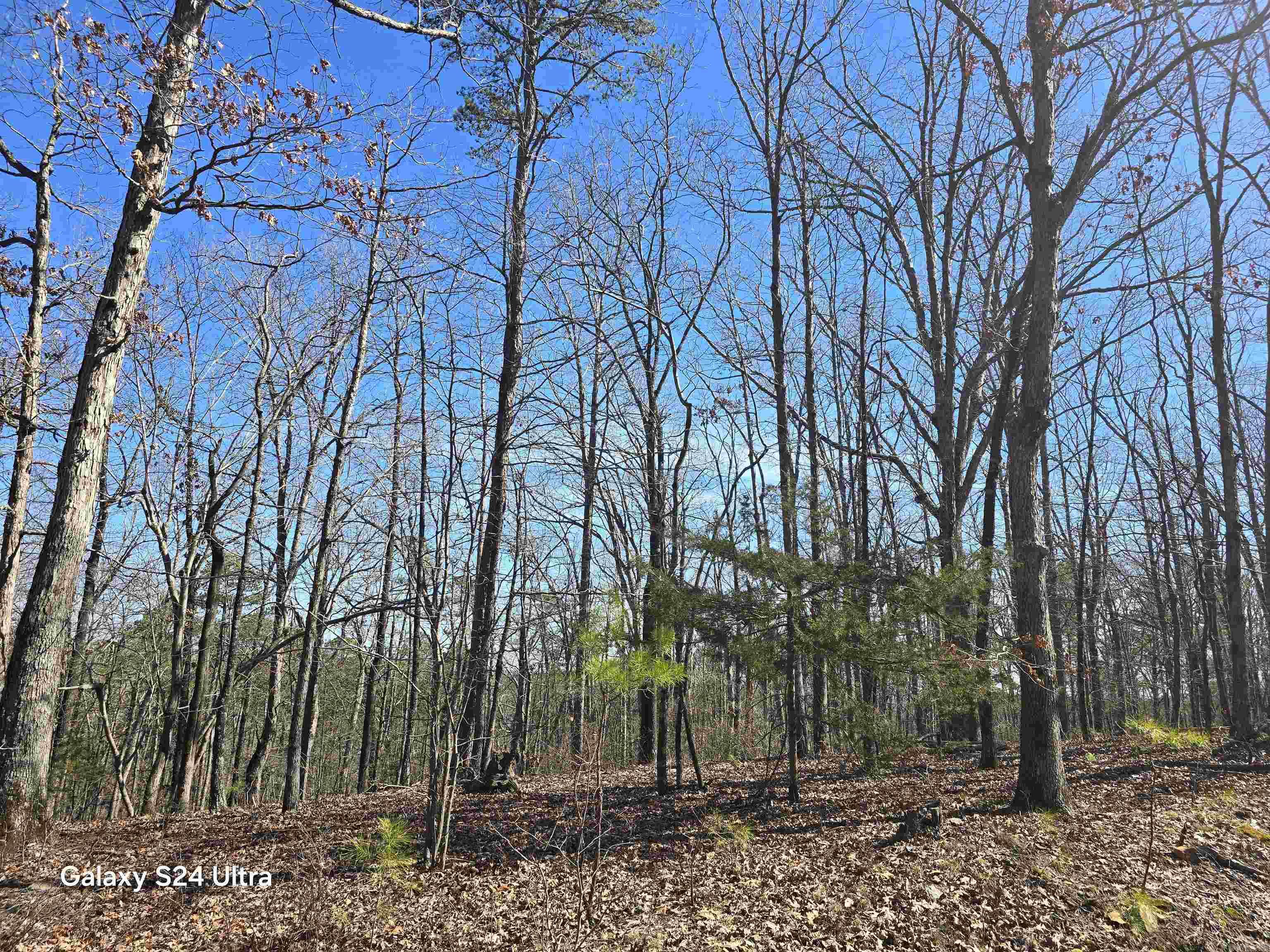 0 Woodlawn  Fairfield Bay, AR