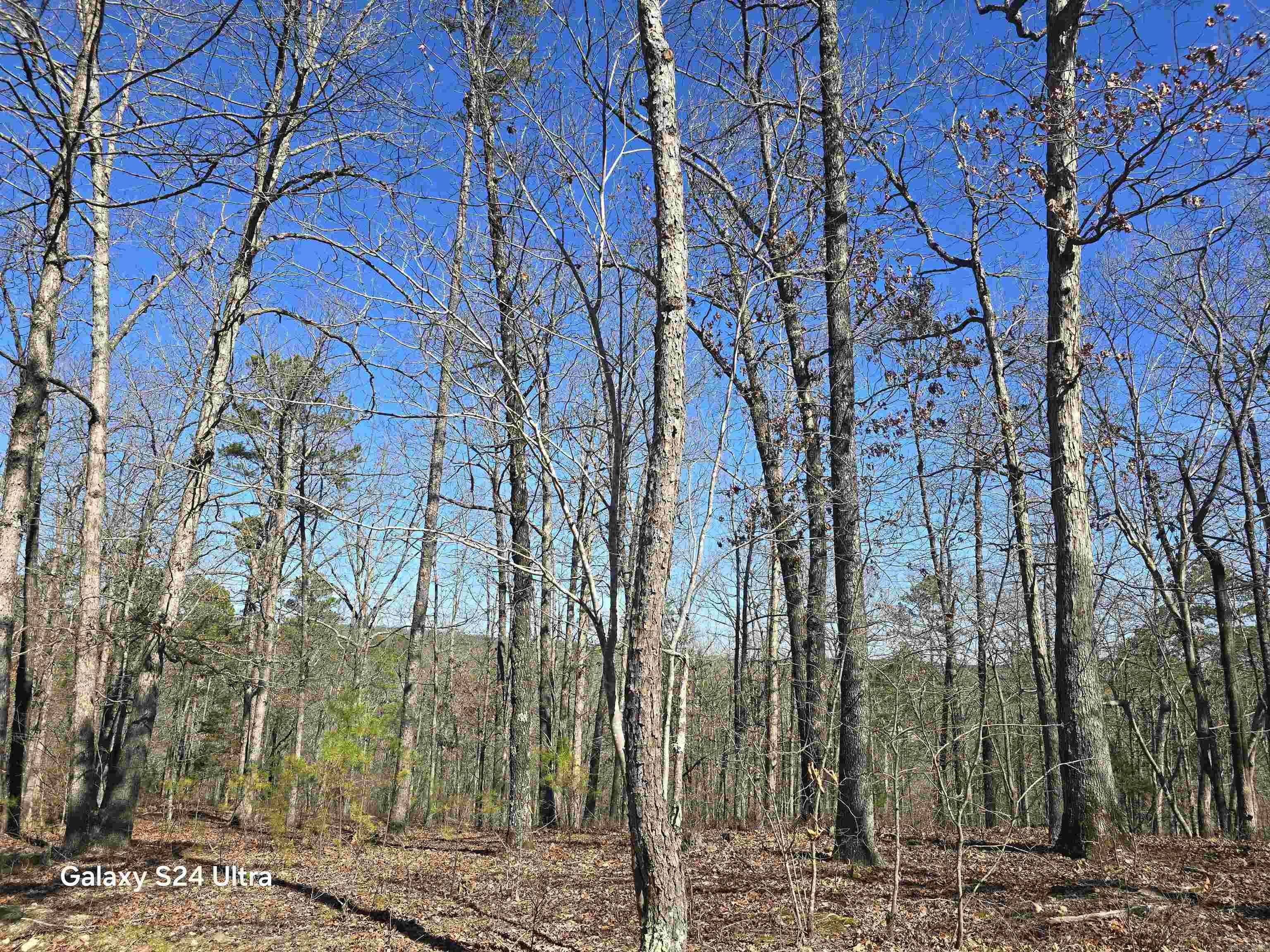 0 Woodlawn  Fairfield Bay, AR