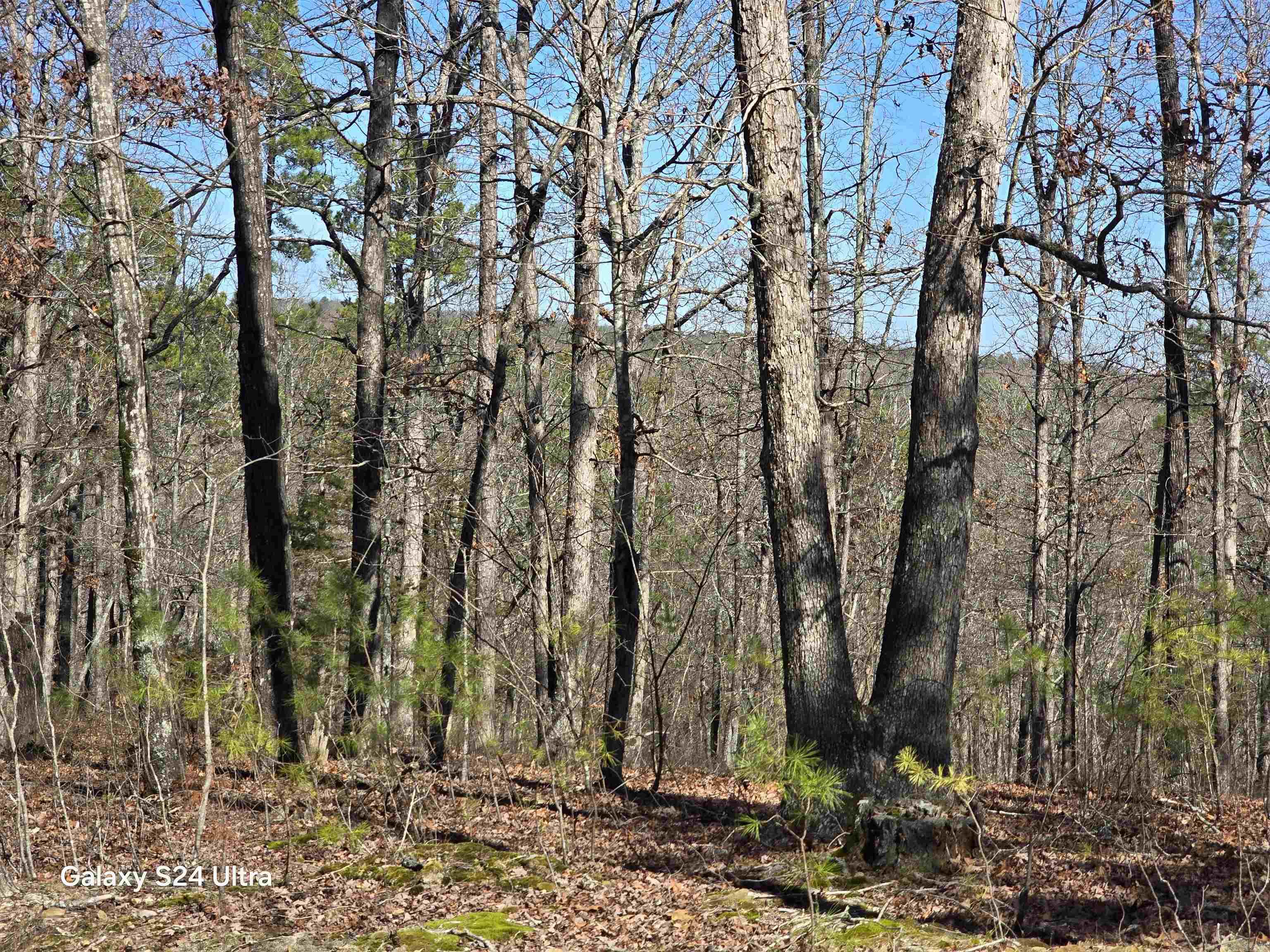 0 Woodlawn  Fairfield Bay, AR