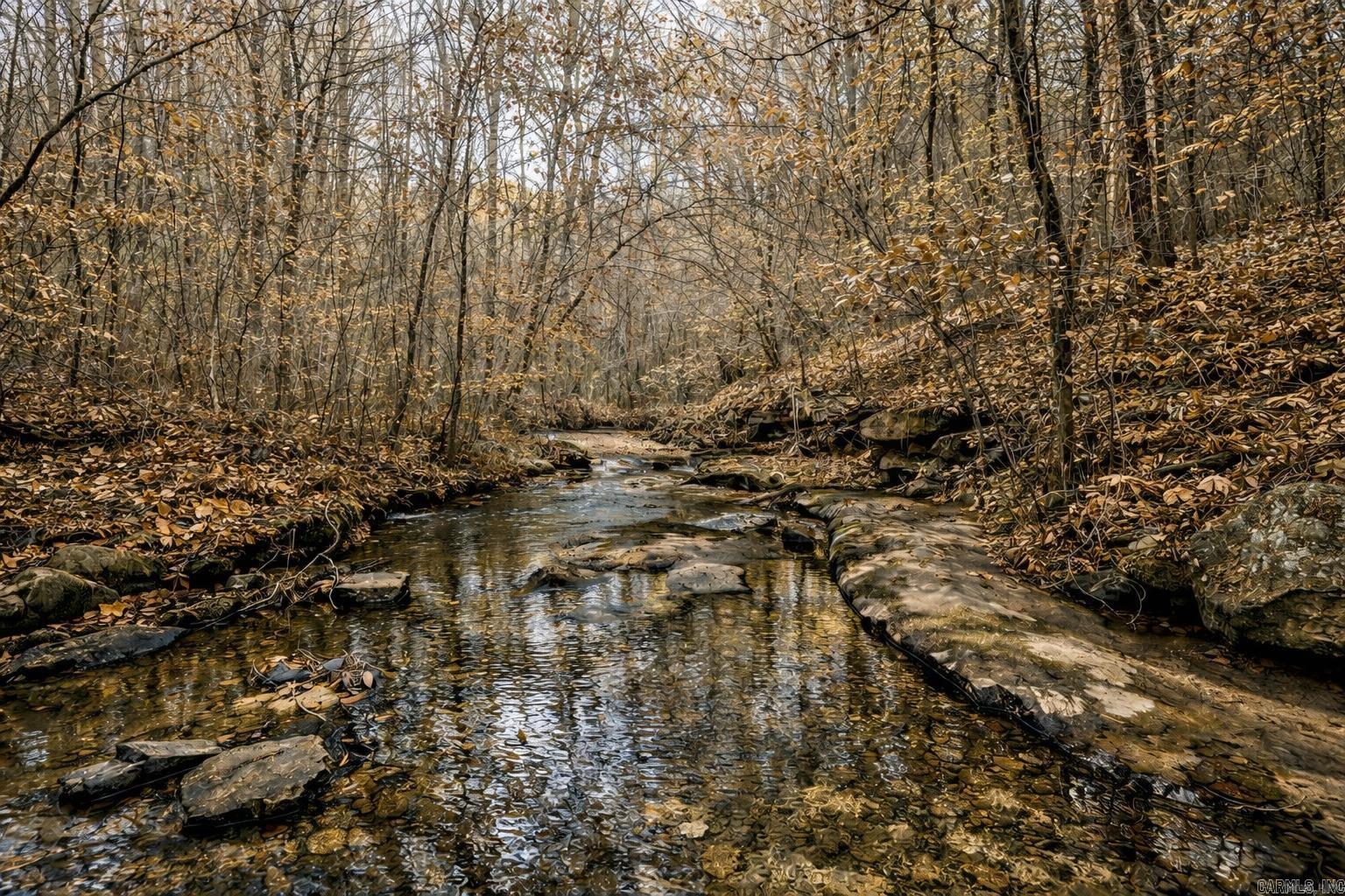 1656 Peyton Mountain Road  Dennard, AR