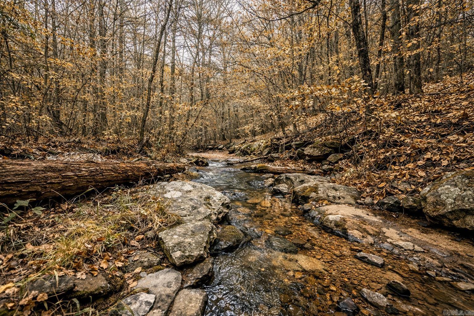 1656 Peyton Mountain Road  Dennard, AR