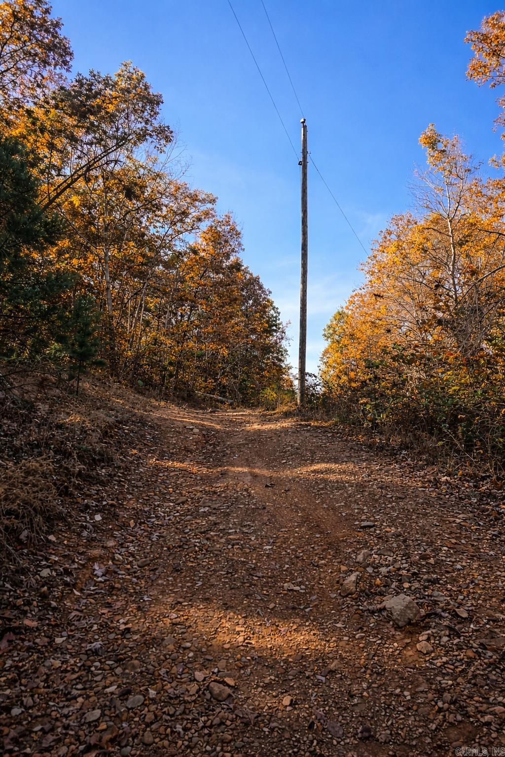 1656 Peyton Mountain Road  Dennard, AR