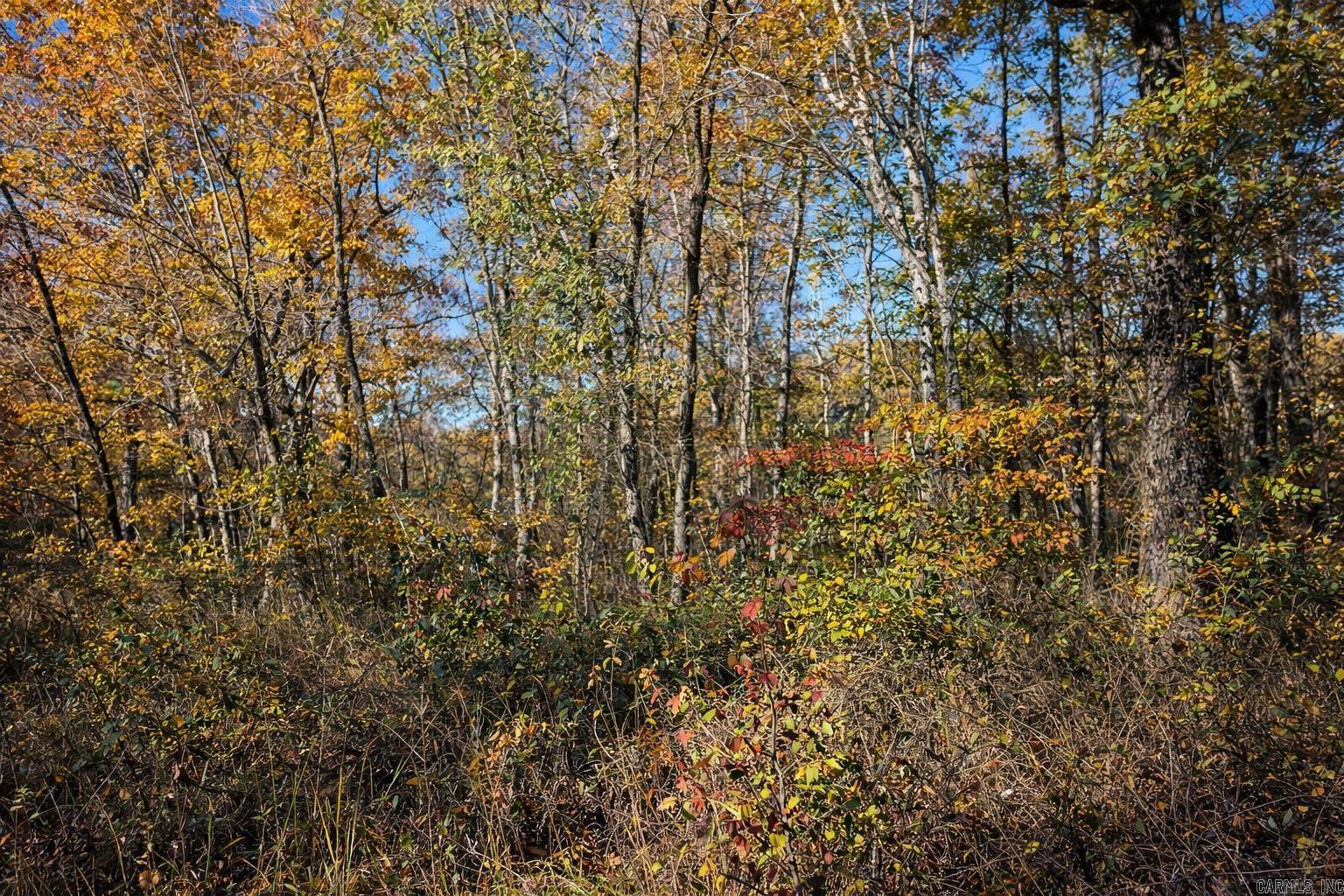 1656 Peyton Mountain Road  Dennard, AR