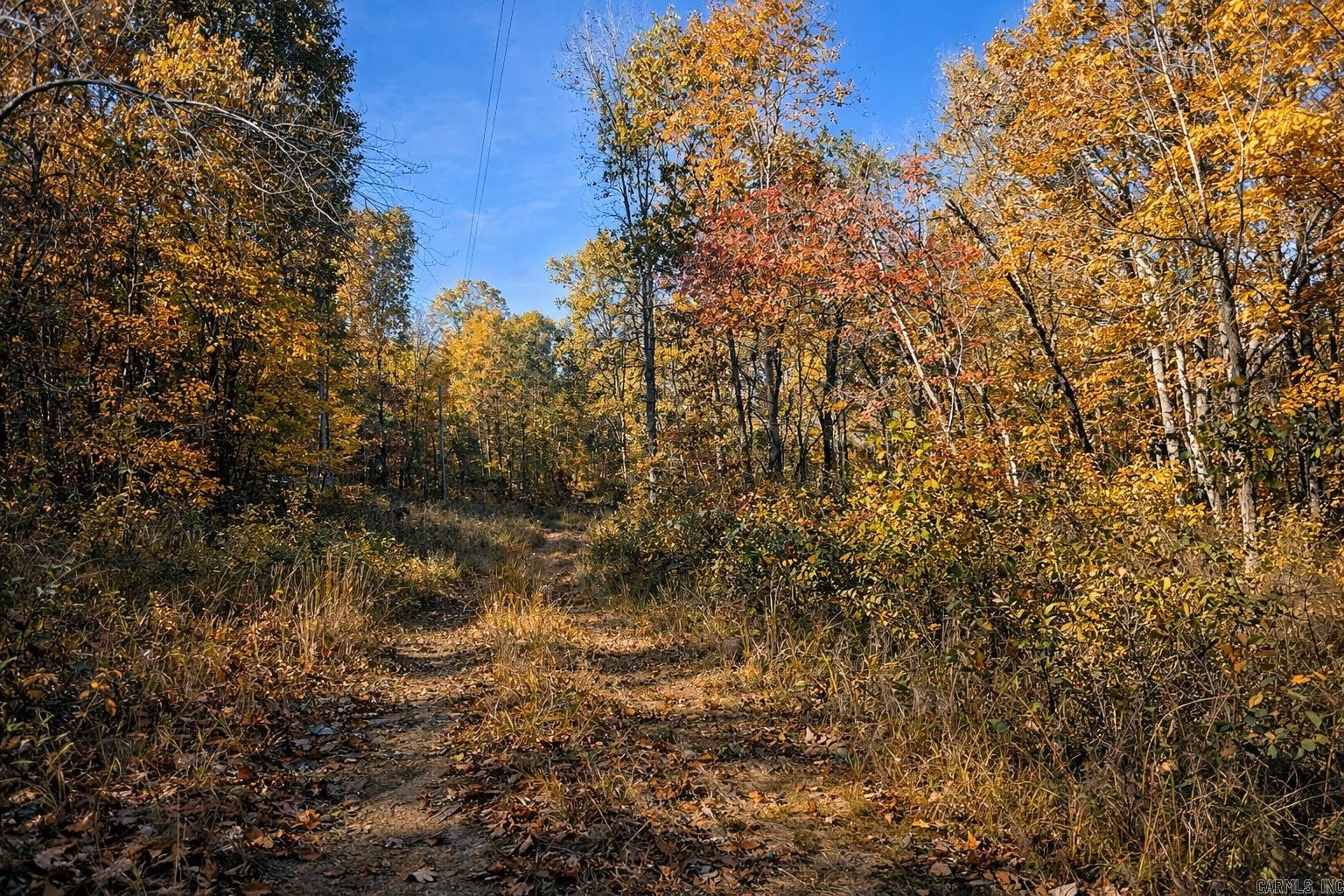 1656 Peyton Mountain Road  Dennard, AR