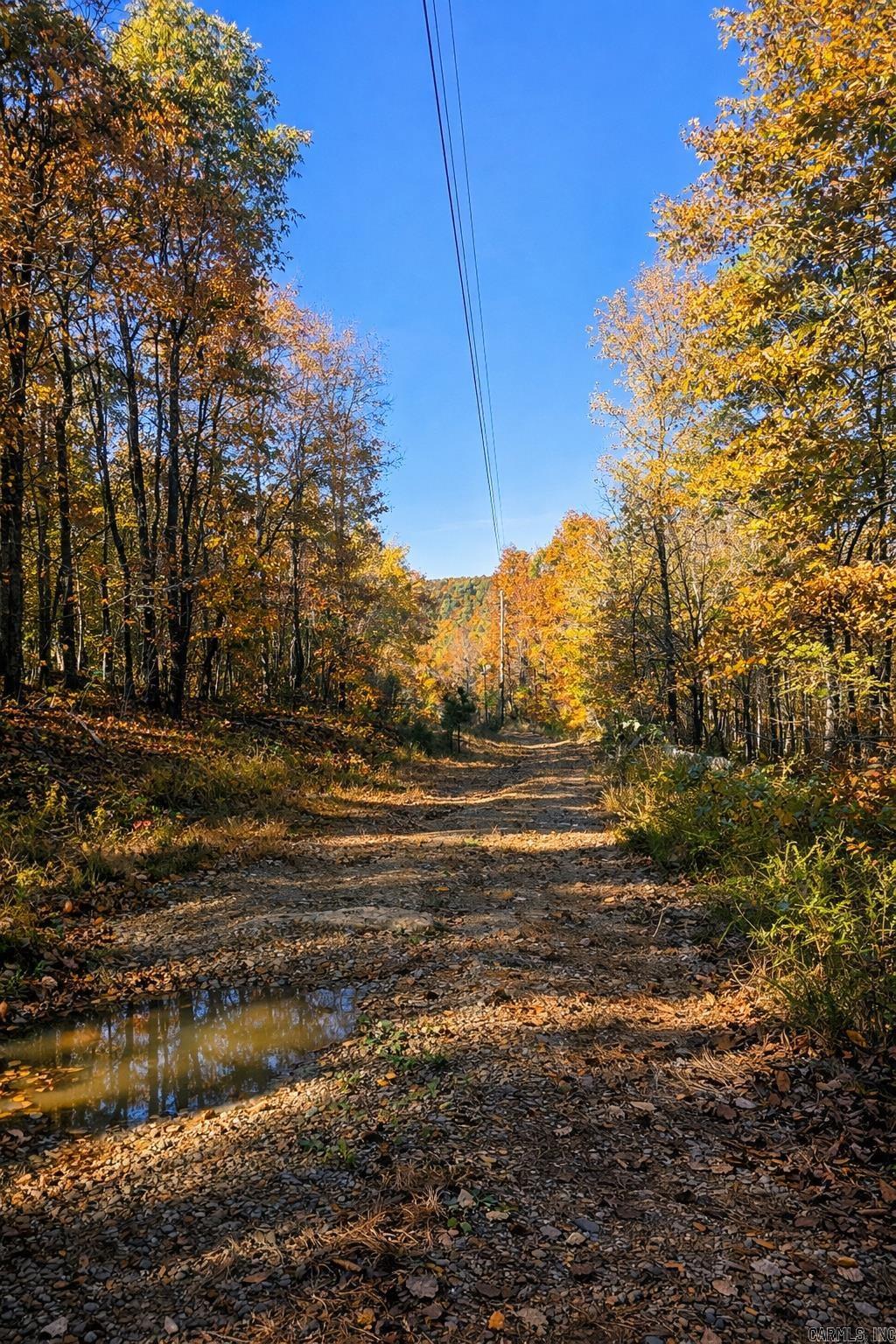 1656 Peyton Mountain Road  Dennard, AR