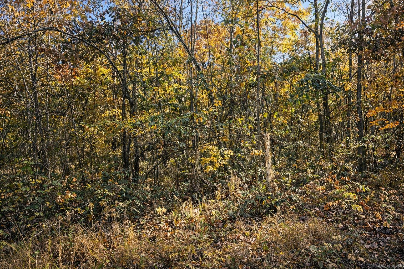 1656 Peyton Mountain Road  Dennard, AR