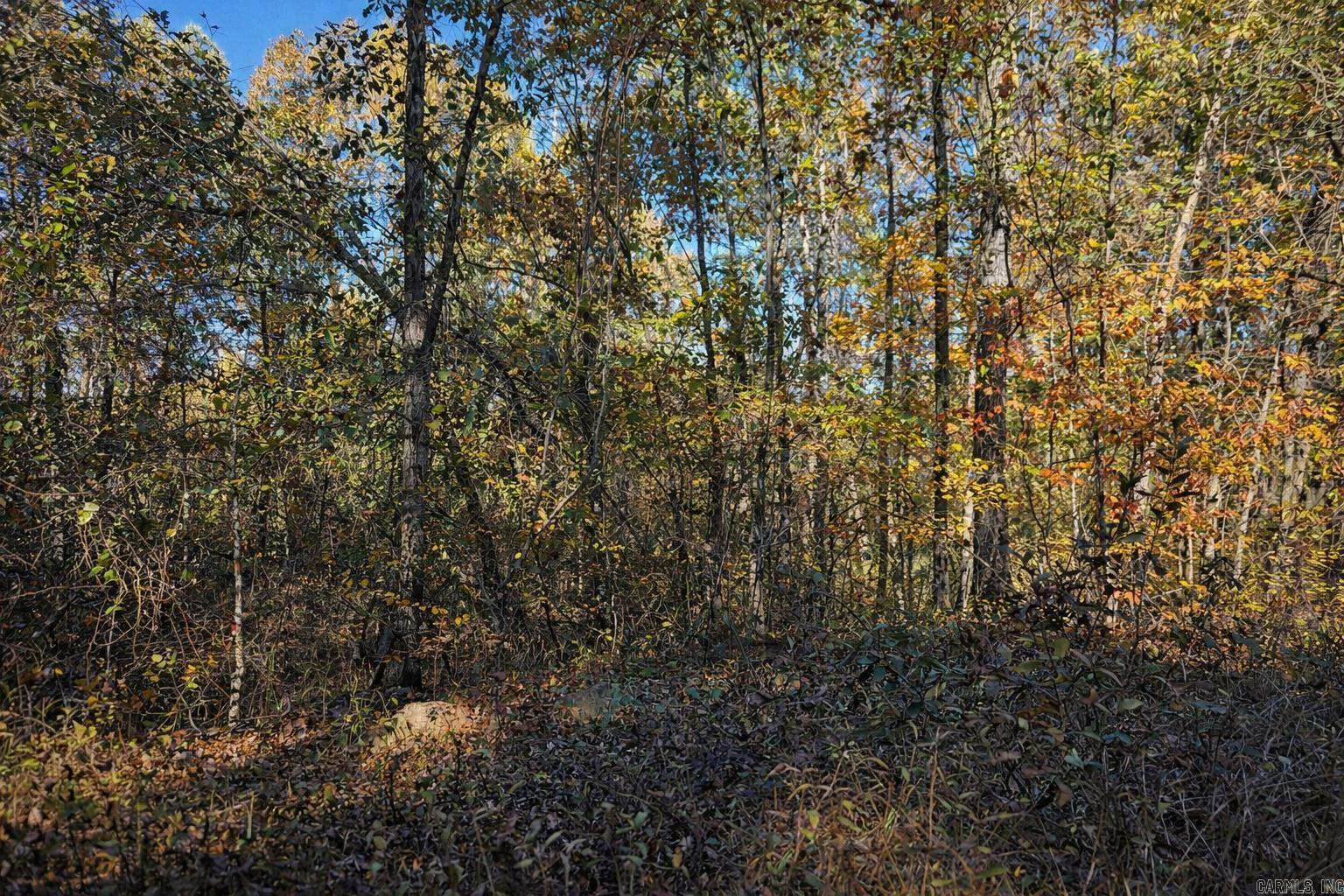 1656 Peyton Mountain Road  Dennard, AR