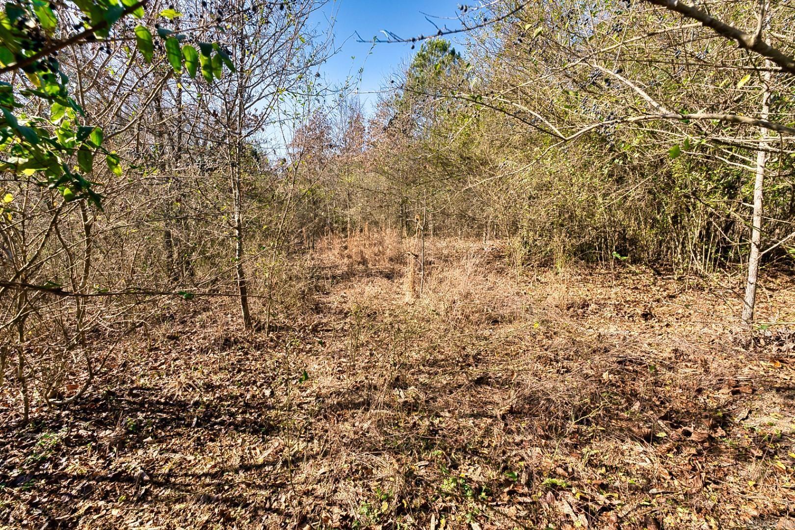 2600 Block Park Avenue, Lot 2L  Hot Springs, AR