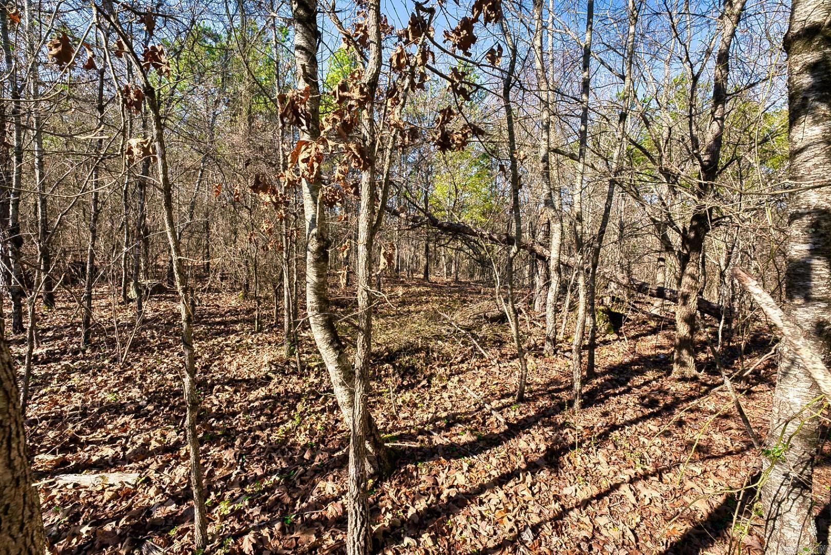 2600 Block Park Avenue, Lot 2L  Hot Springs, AR