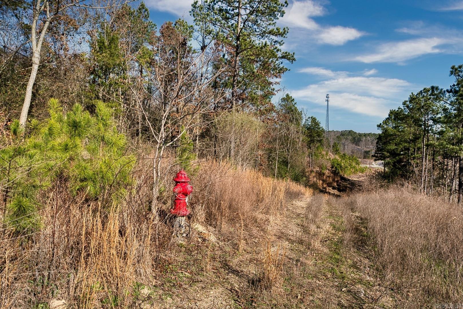2600 Block Park Avenue, Lot 2L  Hot Springs, AR