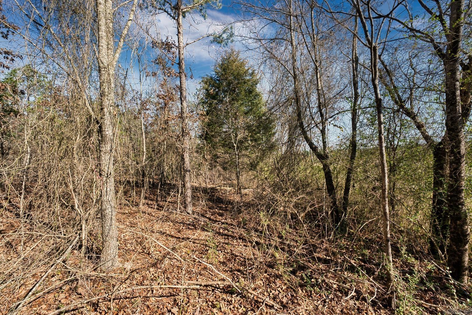 2600 Block Park Avenue, Lot 2L  Hot Springs, AR