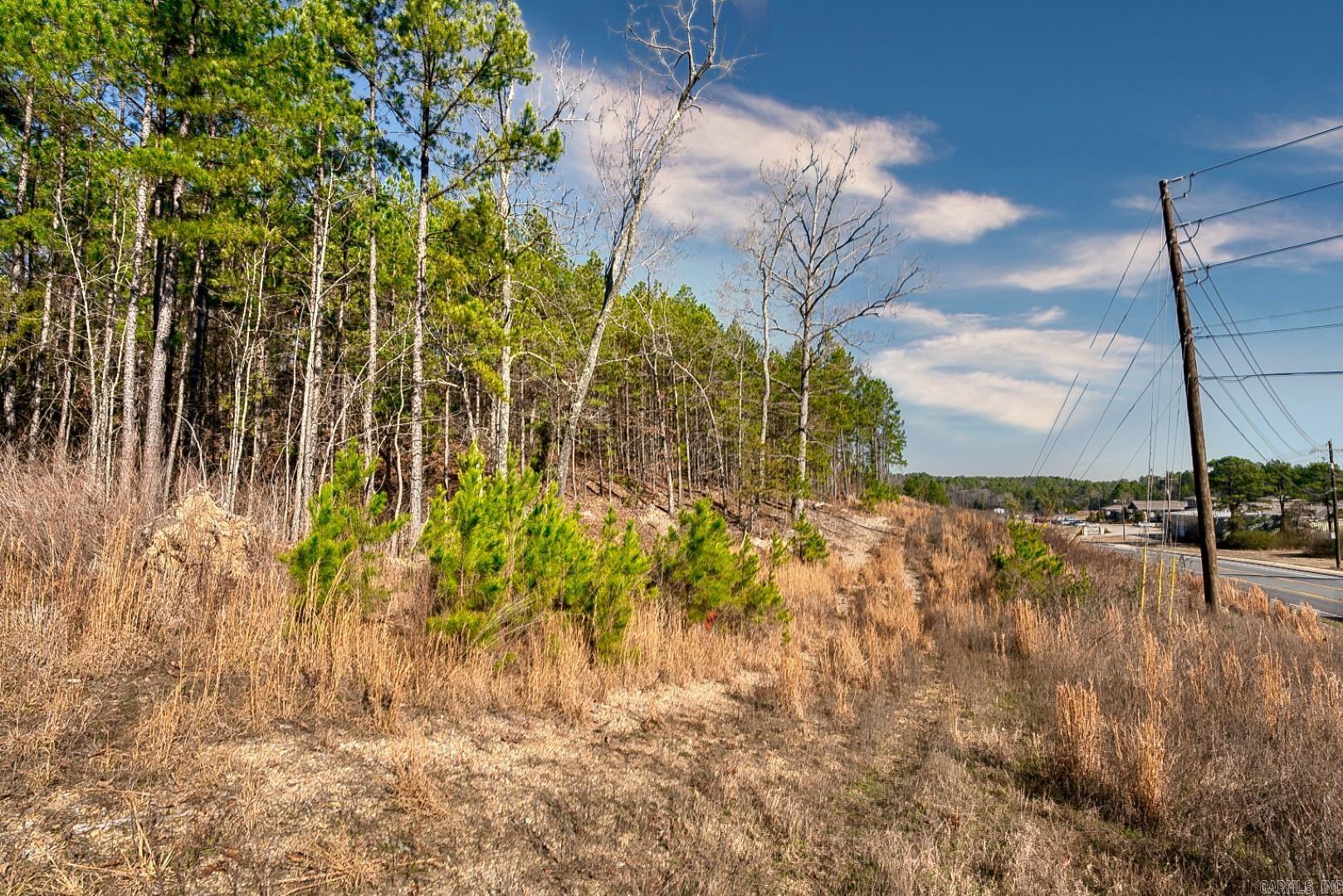 2600 Block Park Avenue, Lot 2L  Hot Springs, AR