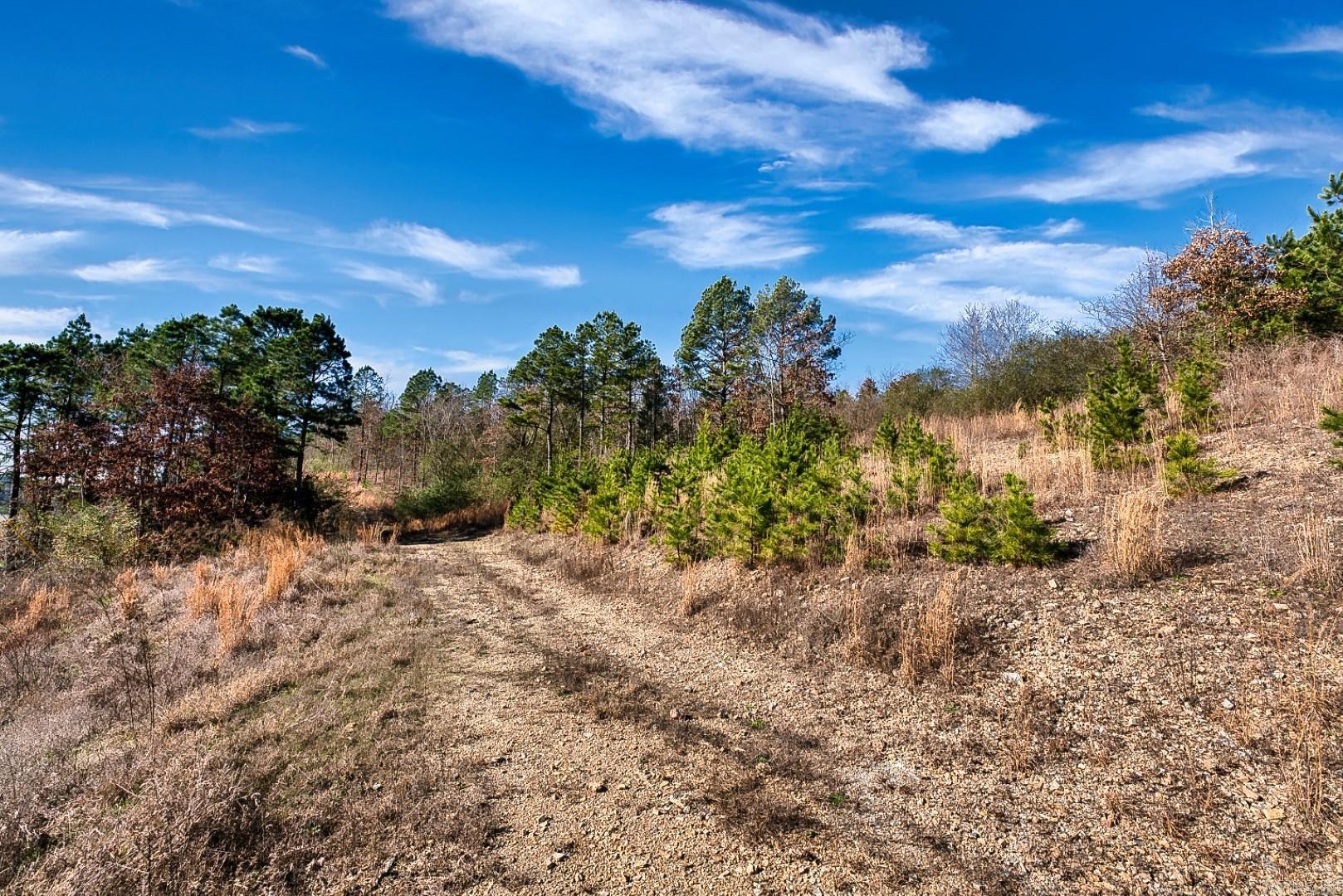 2600 Block Park Avenue, Lot 2L  Hot Springs, AR