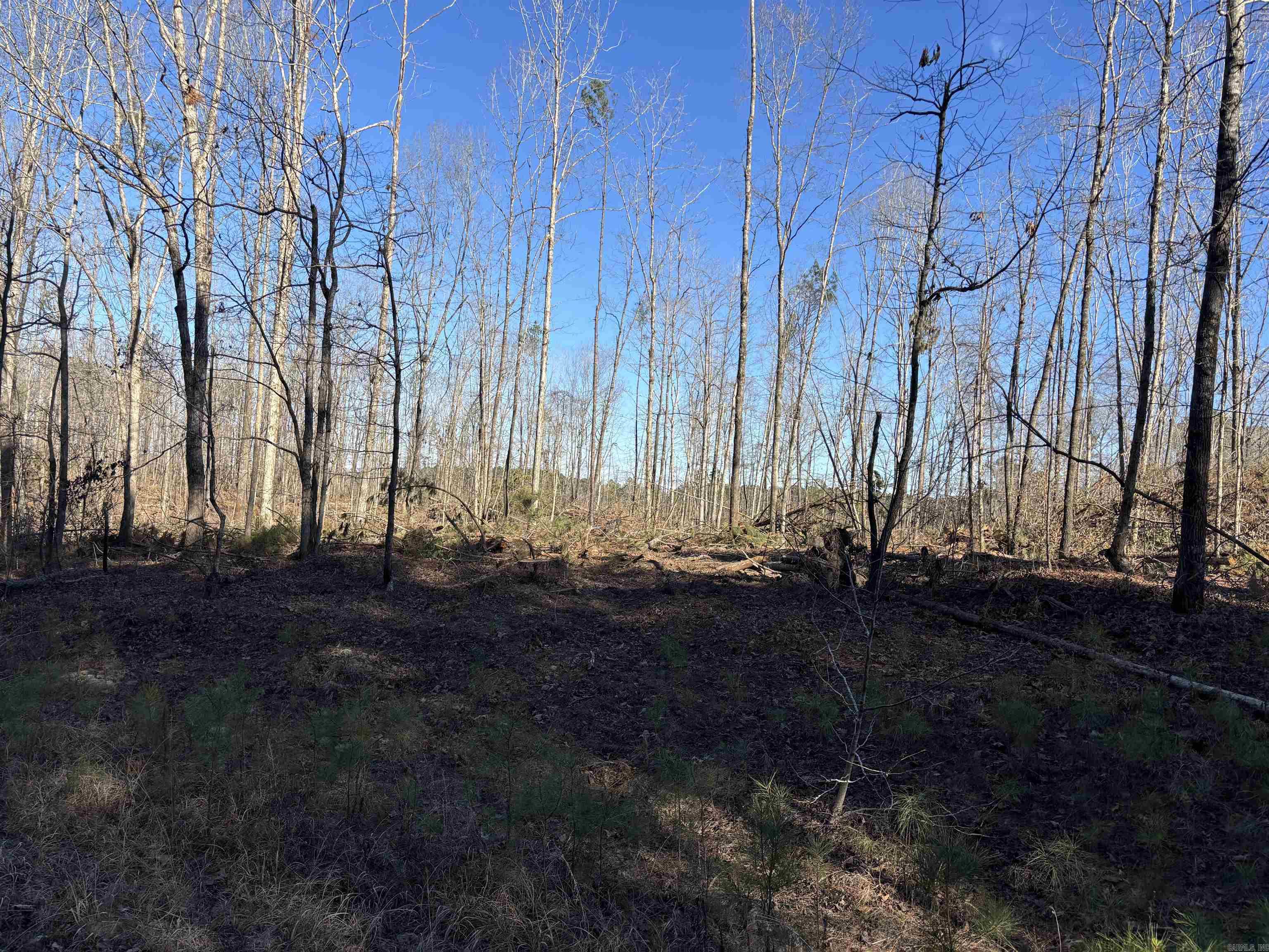 000 Philis Dr  Hensley, AR