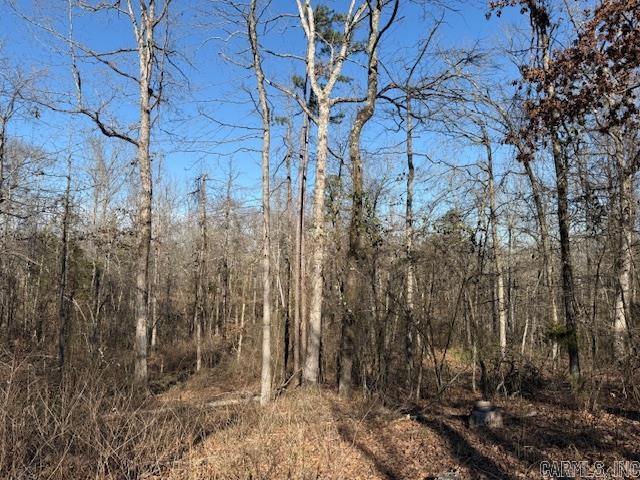 000 E SILEX  Dover, AR