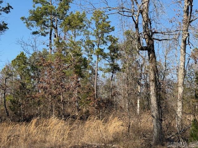 000 E SILEX  Dover, AR