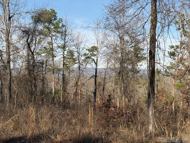 000 E SILEX  Dover, AR