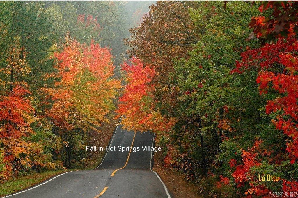 59 Collado  Hot Springs Village, AR