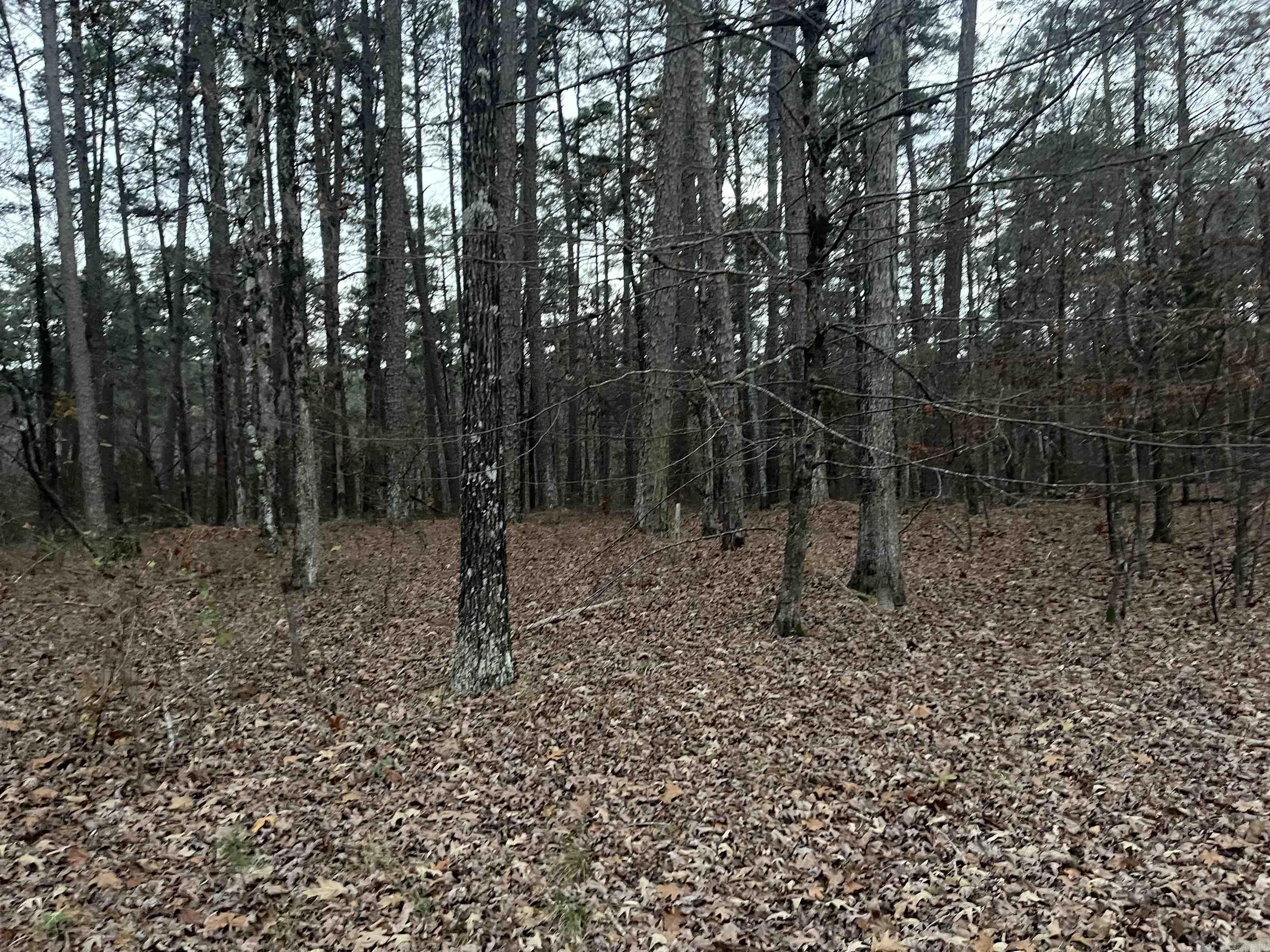 59 Collado  Hot Springs Village, AR