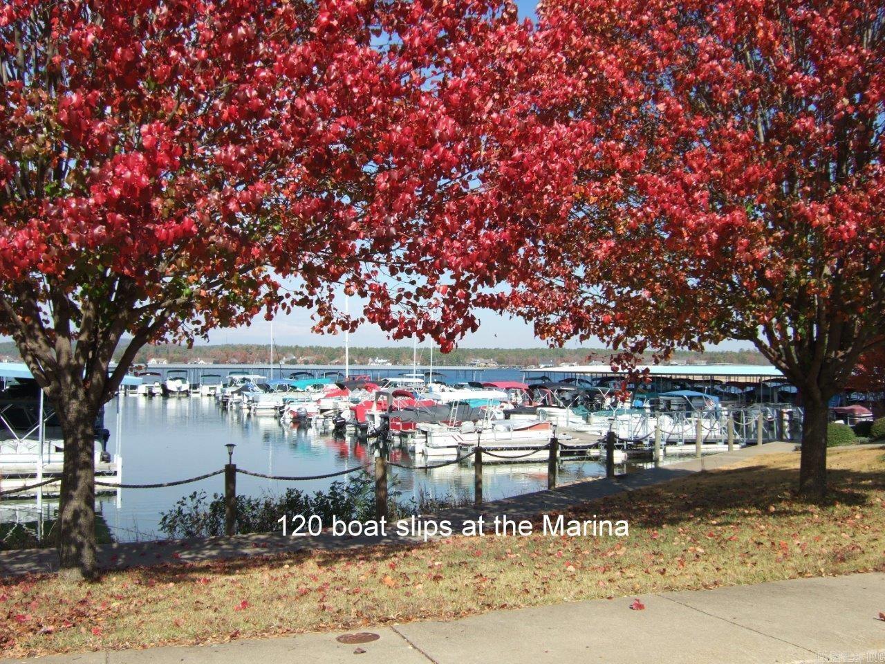 59 Collado  Hot Springs Village, AR