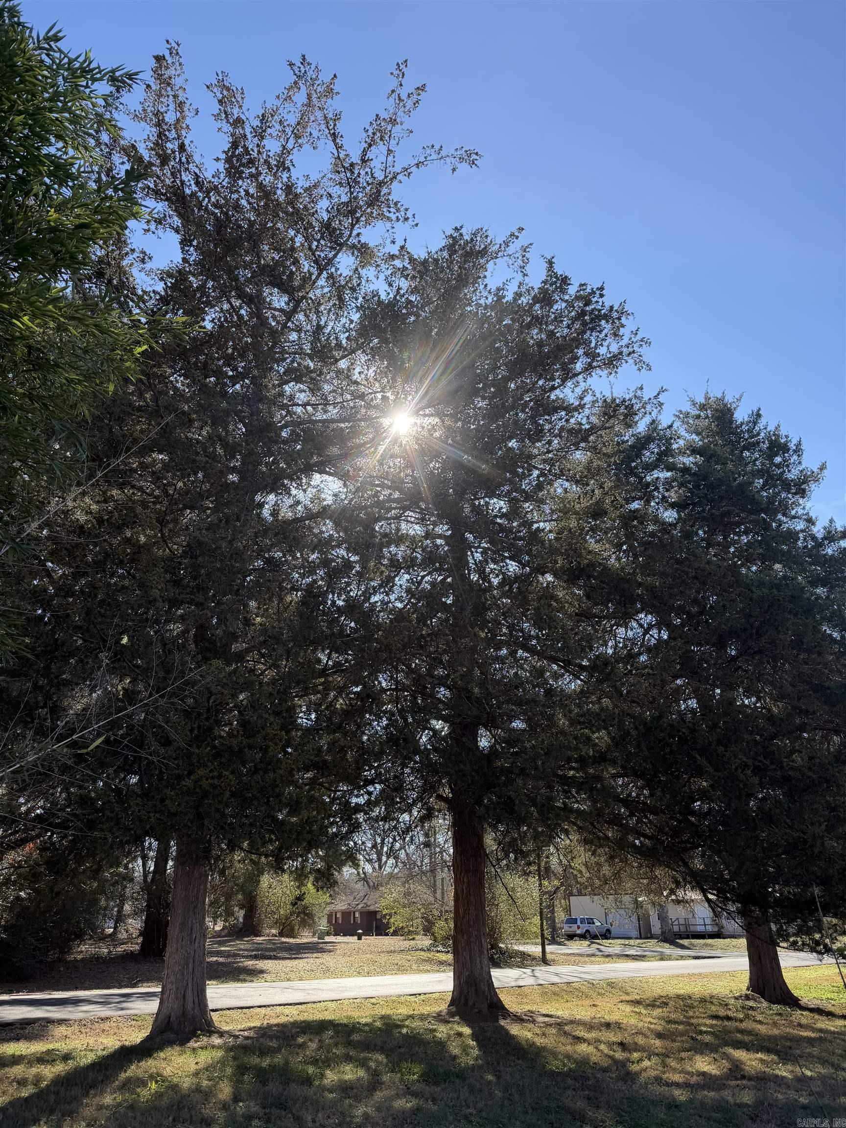 000 Main  West Point, AR