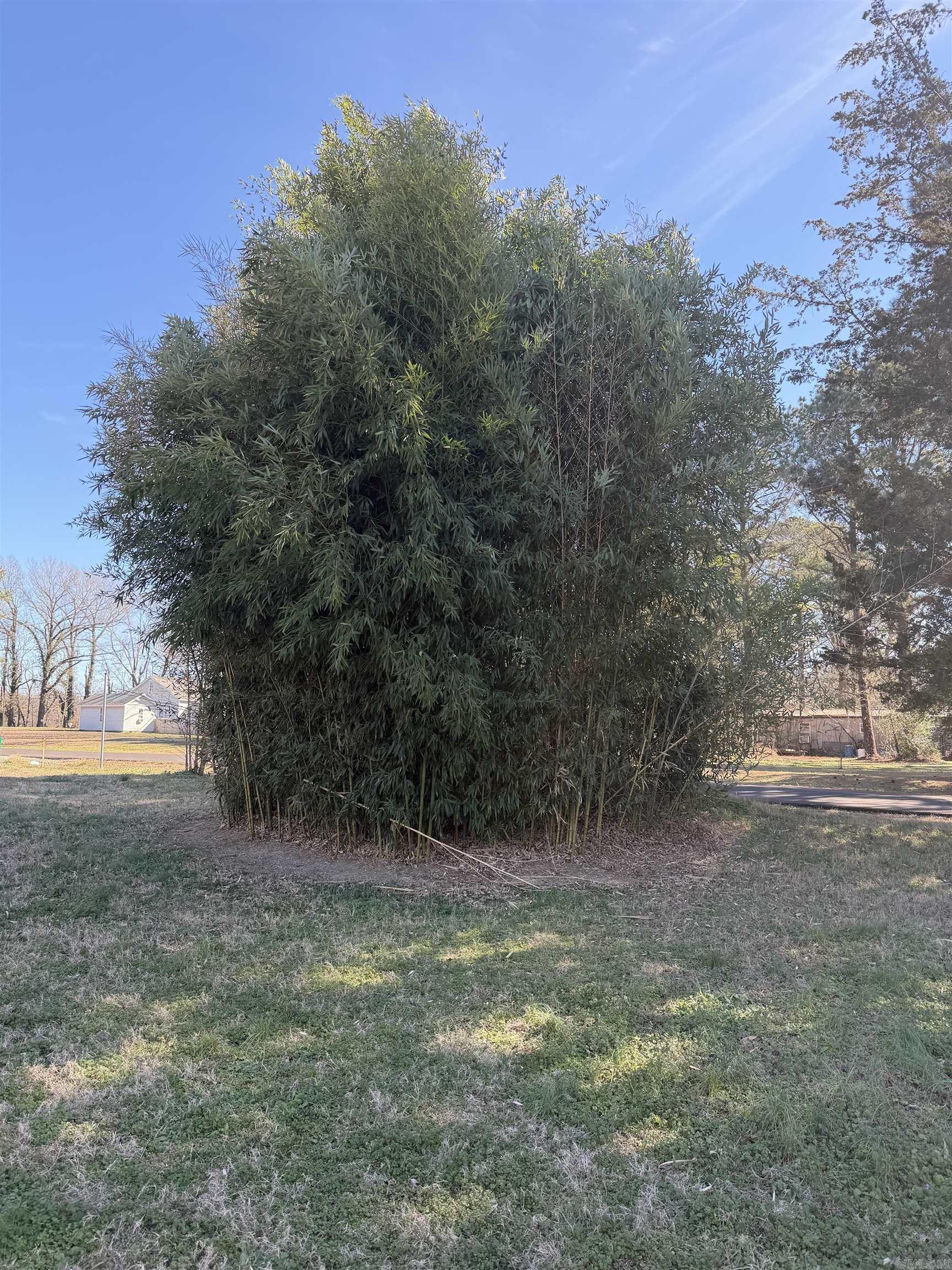 000 Main  West Point, AR