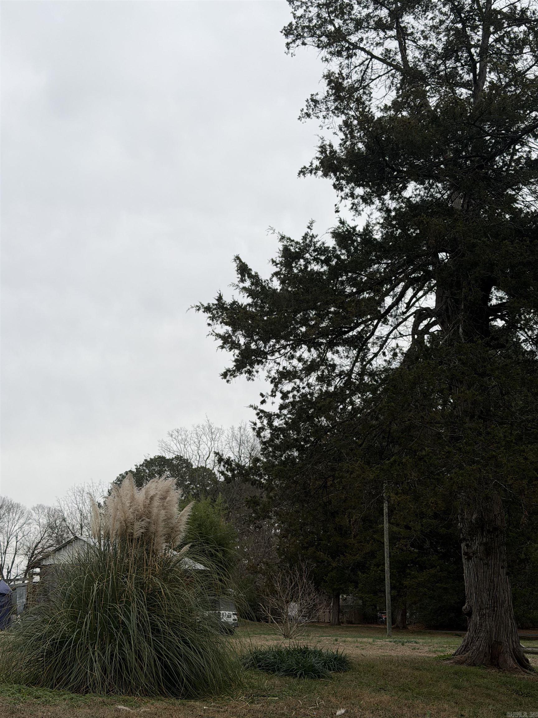 000 Main  West Point, AR