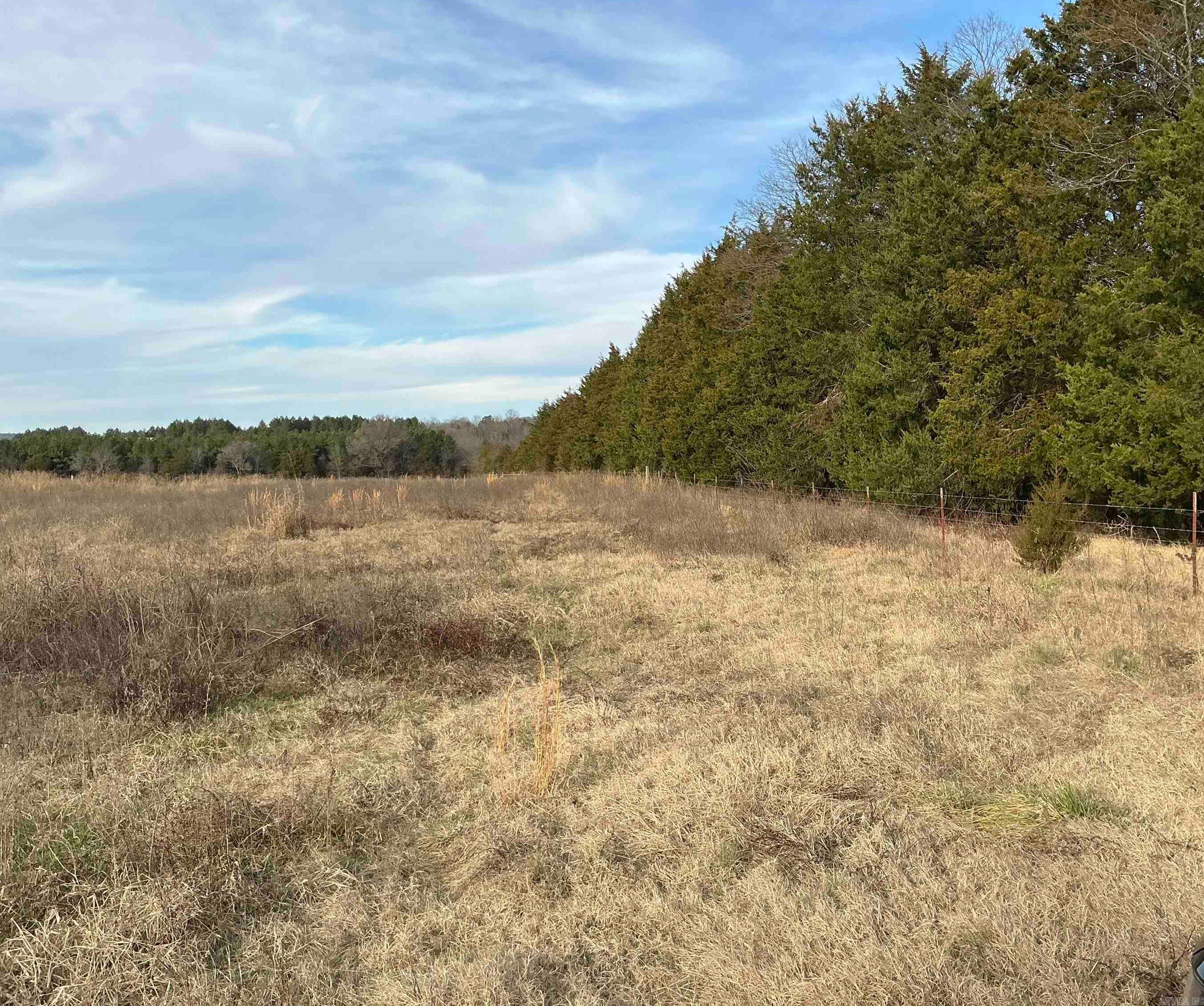 TBD Cash Springs  Greenbrier, AR