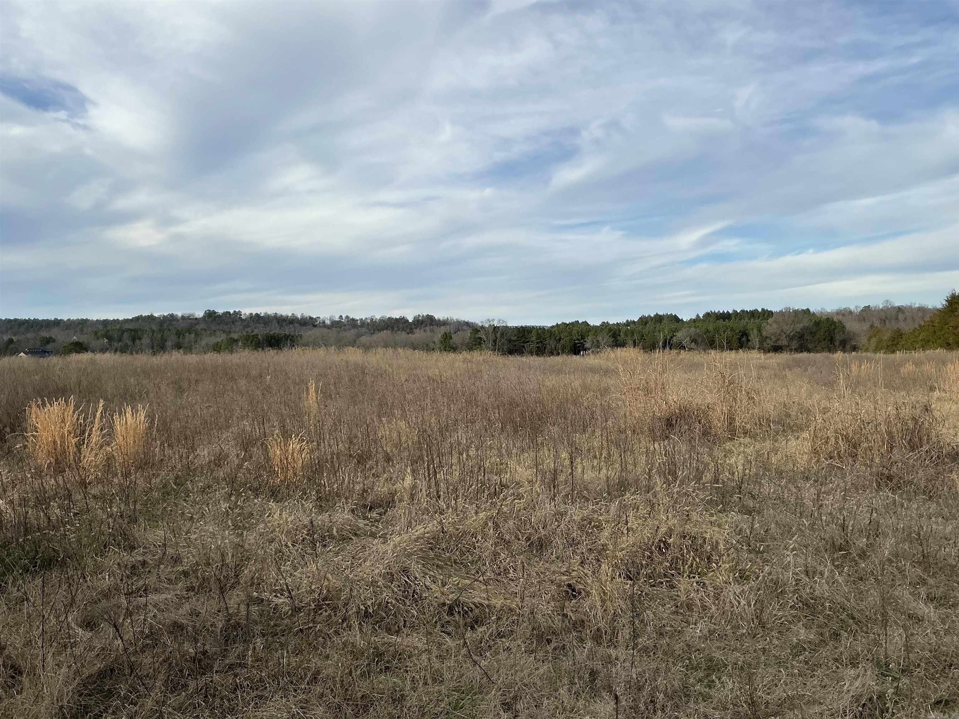 TBD Cash Springs  Greenbrier, AR