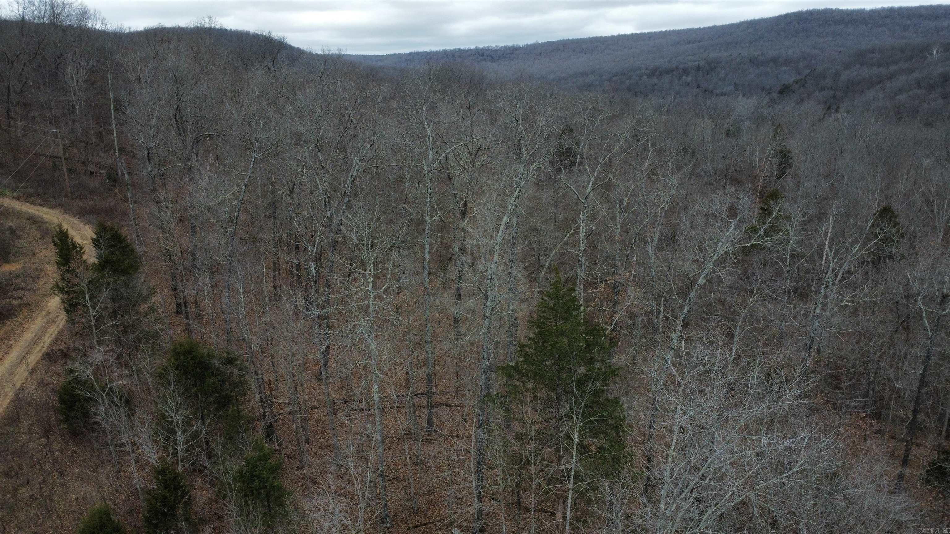 TBD SR 142  Green For., AR