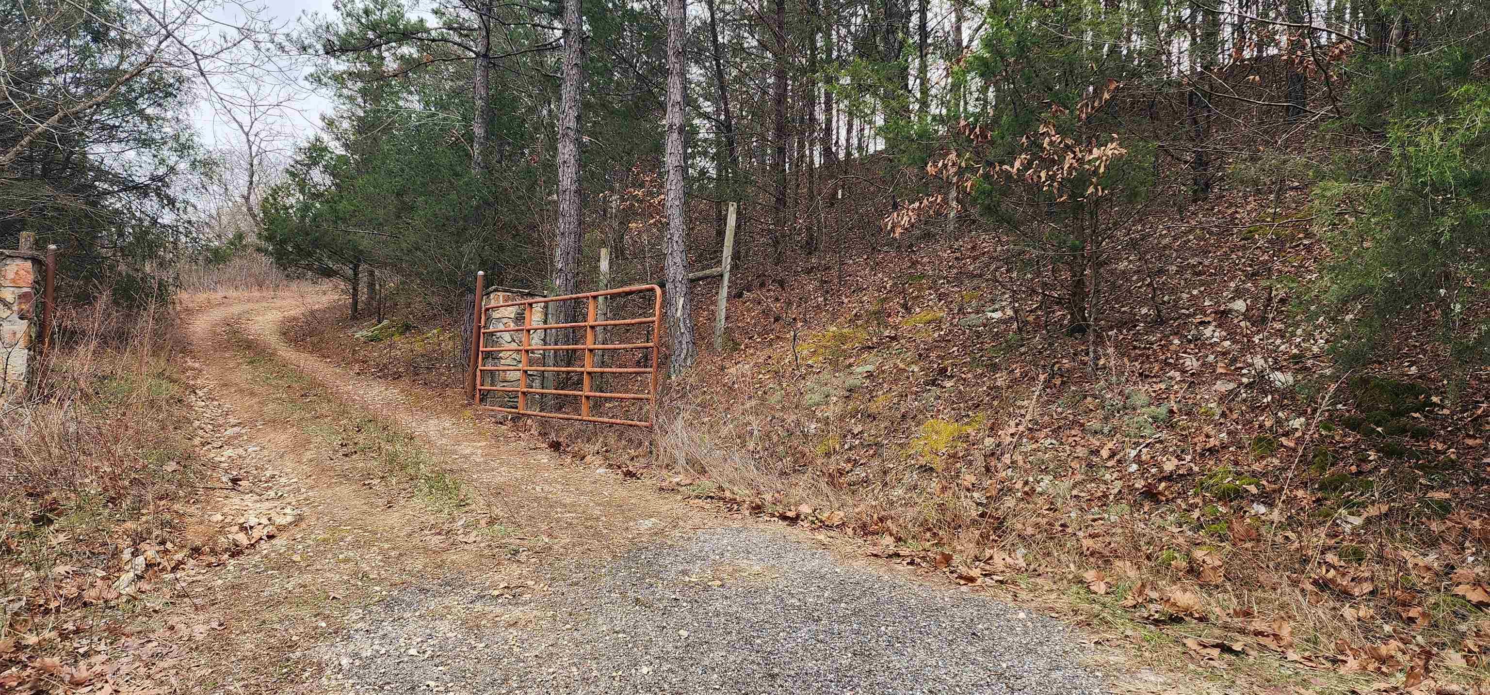 TBD SR 142  Green For., AR