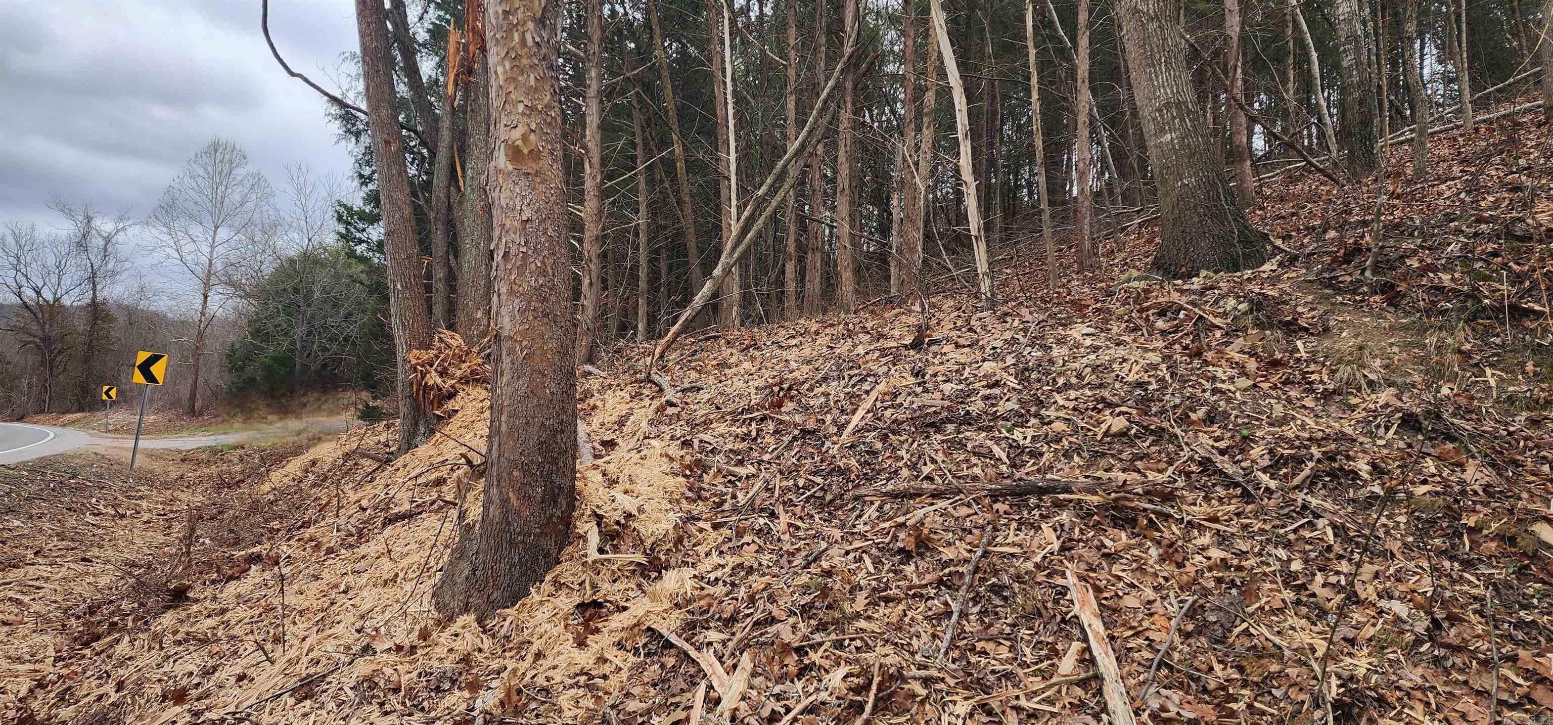 TBD SR 142  Green For., AR