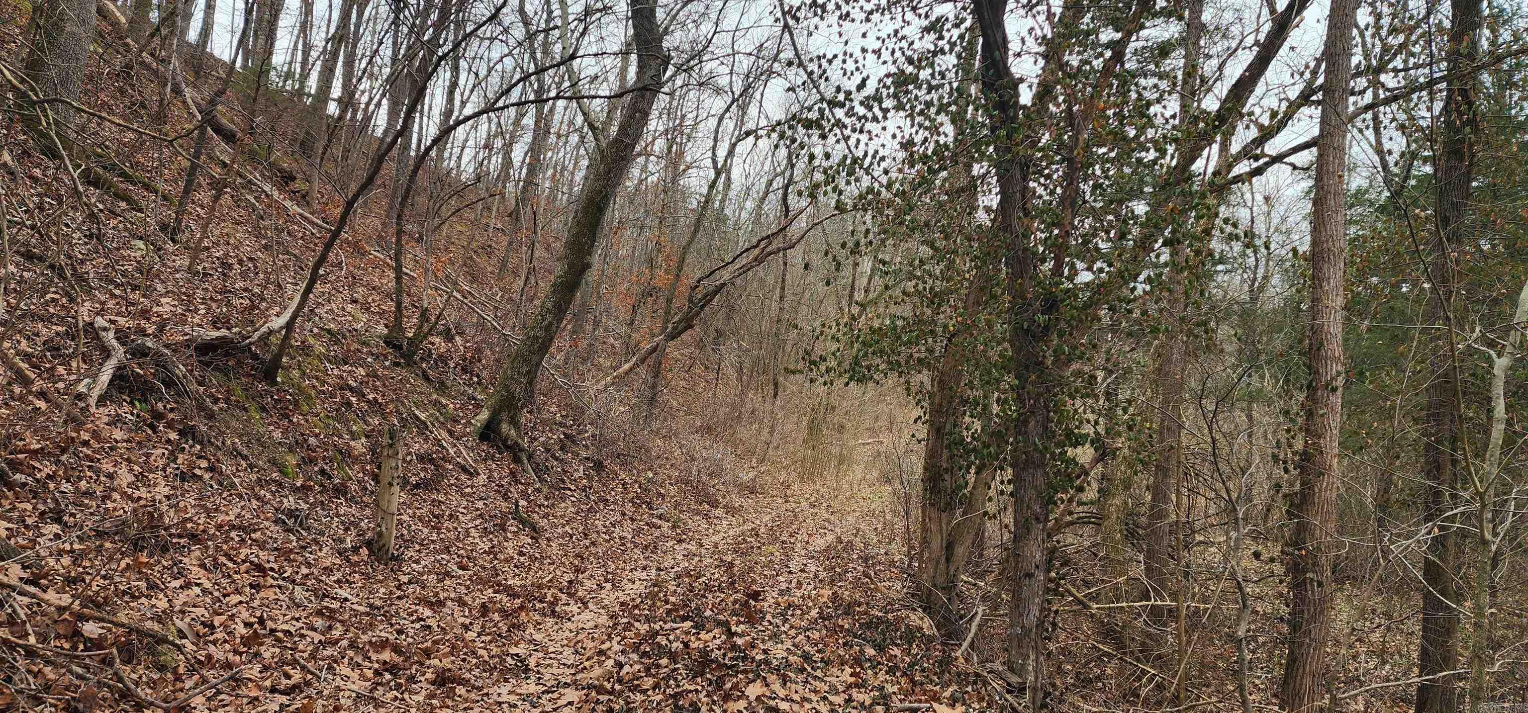 TBD SR 142  Green For., AR