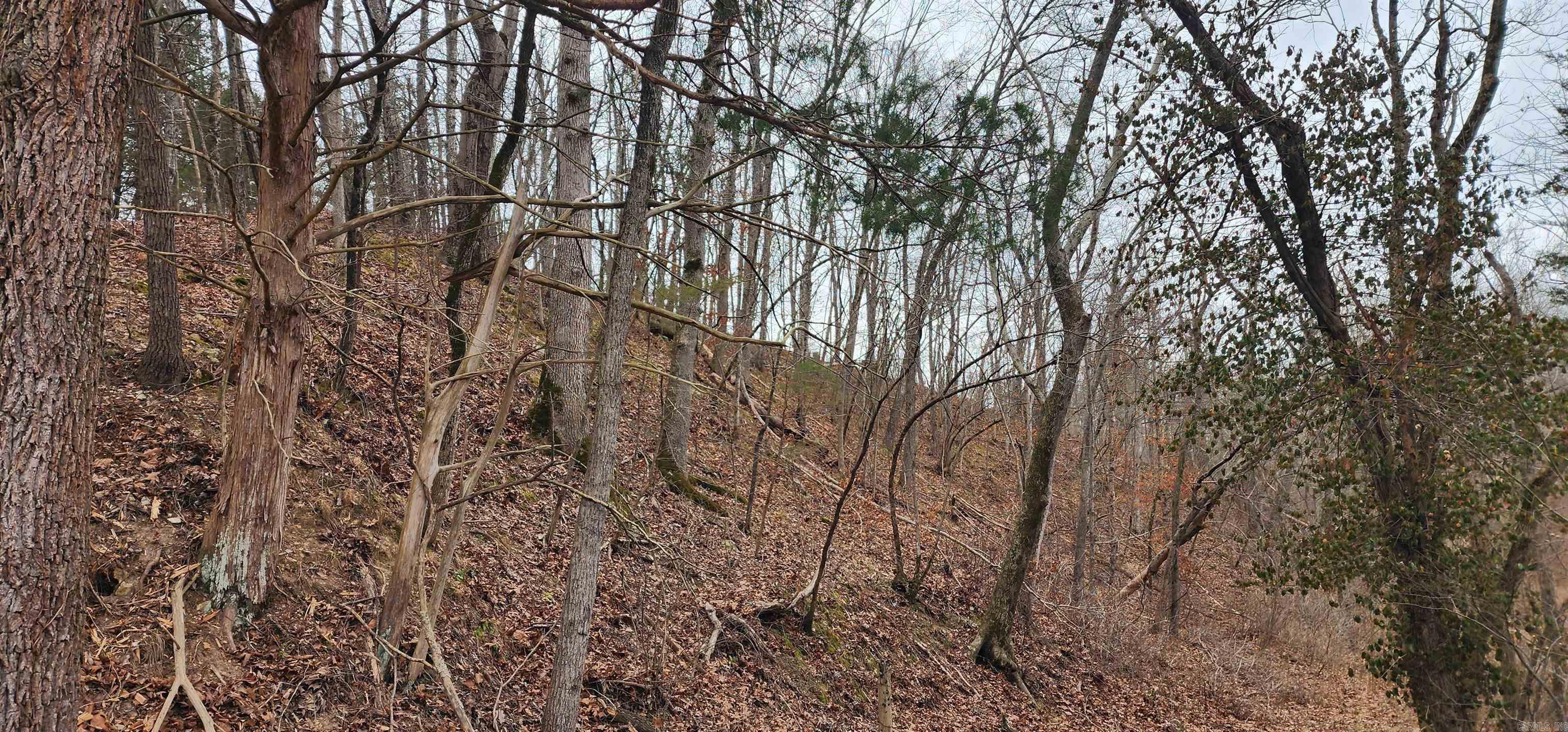 TBD SR 142  Green For., AR