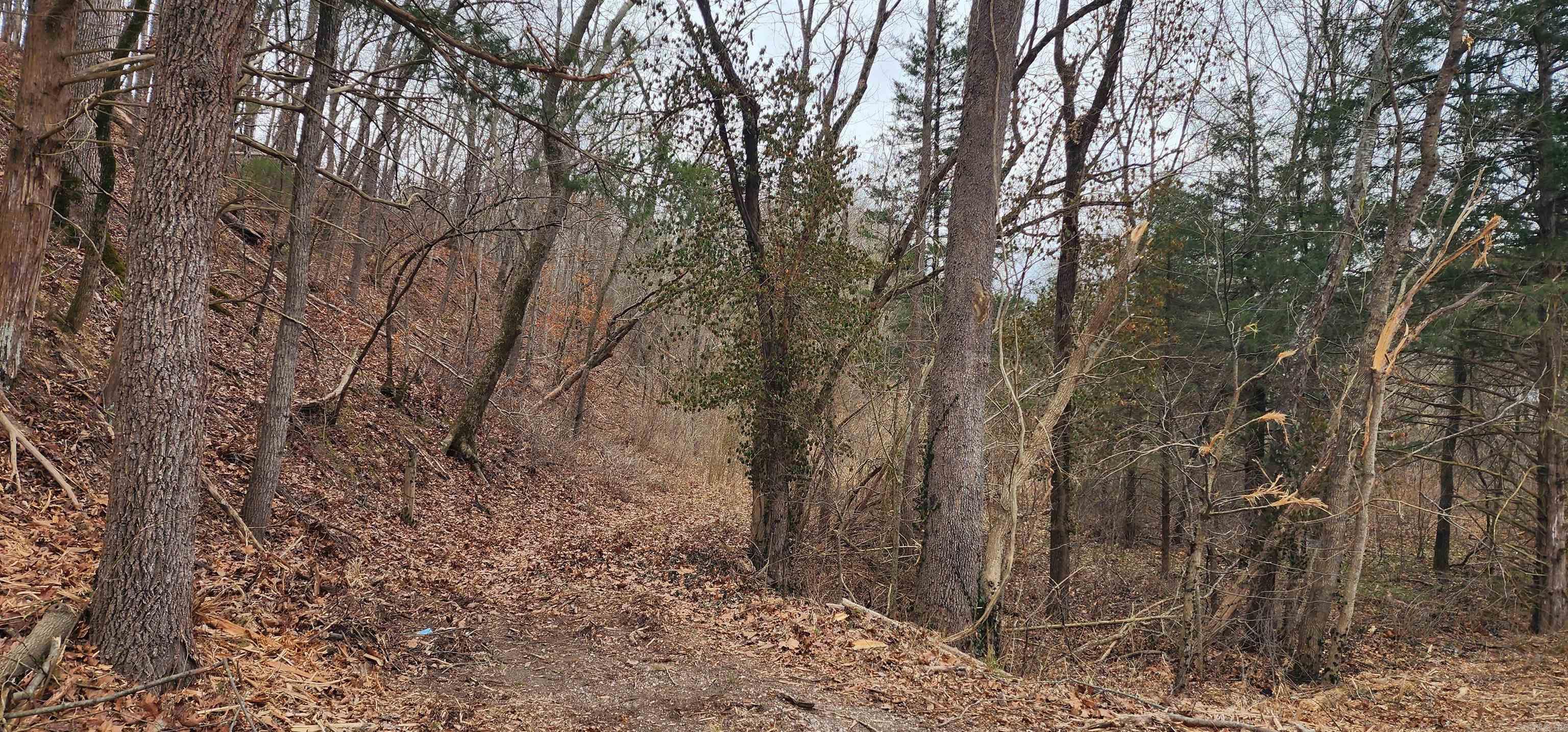 TBD SR 142  Green For., AR