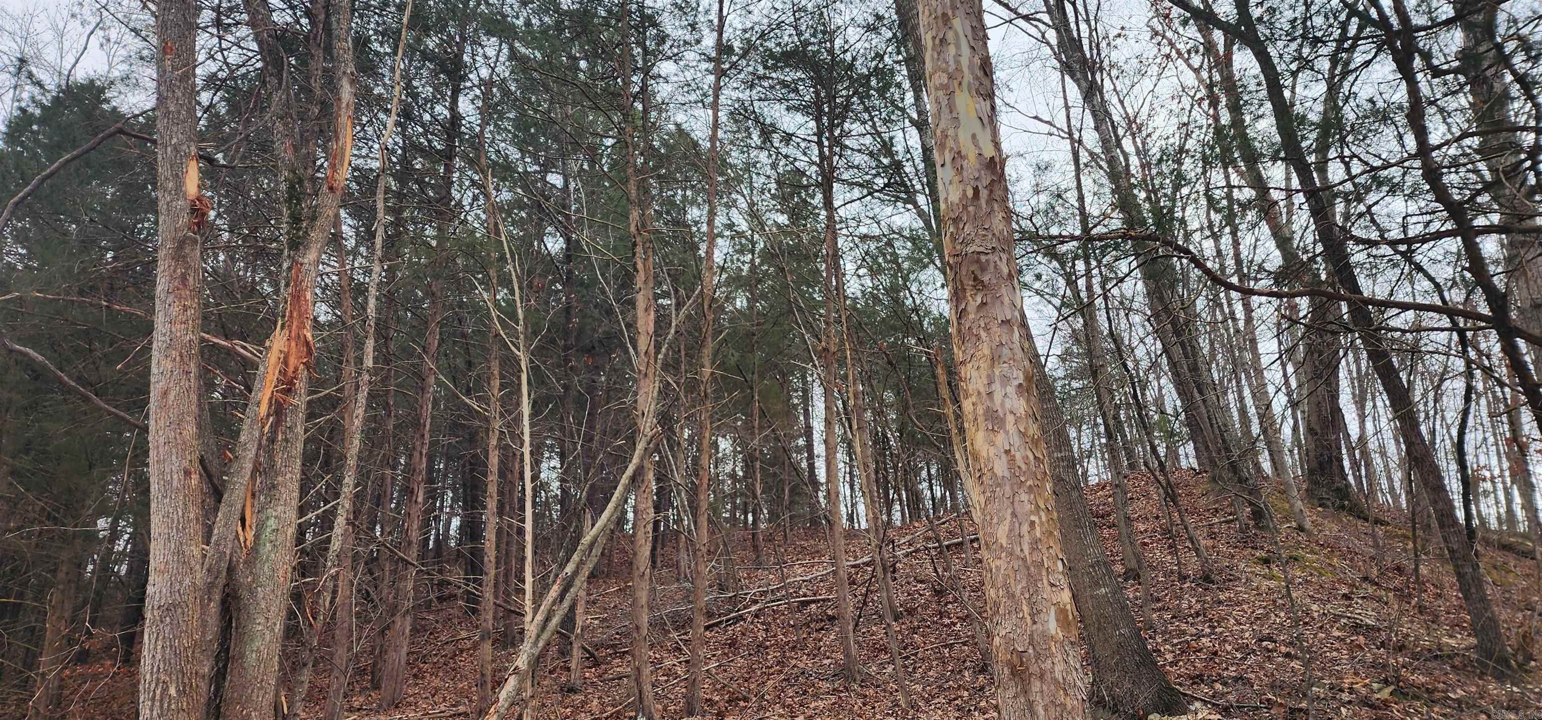 TBD SR 142  Green For., AR