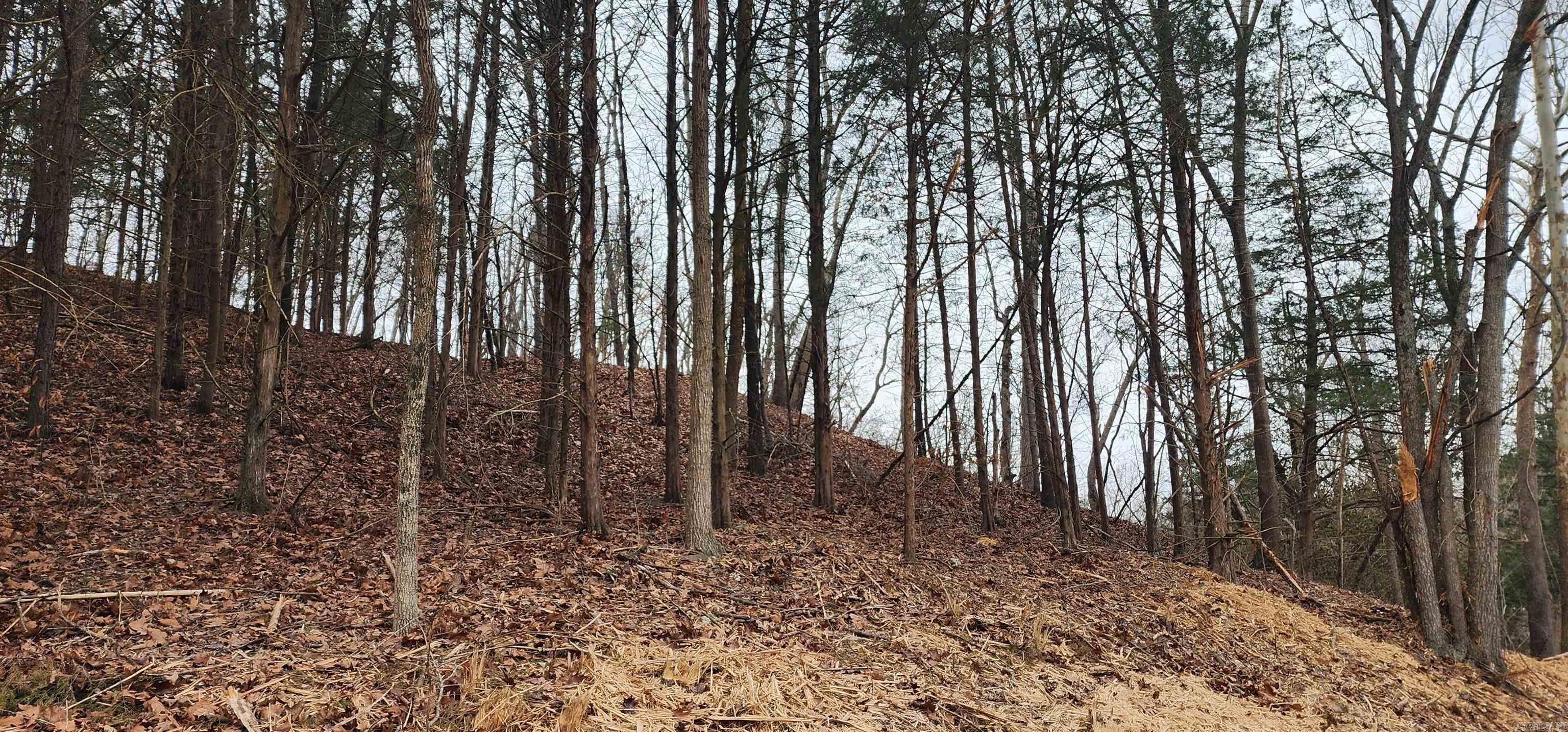 TBD SR 142  Green For., AR