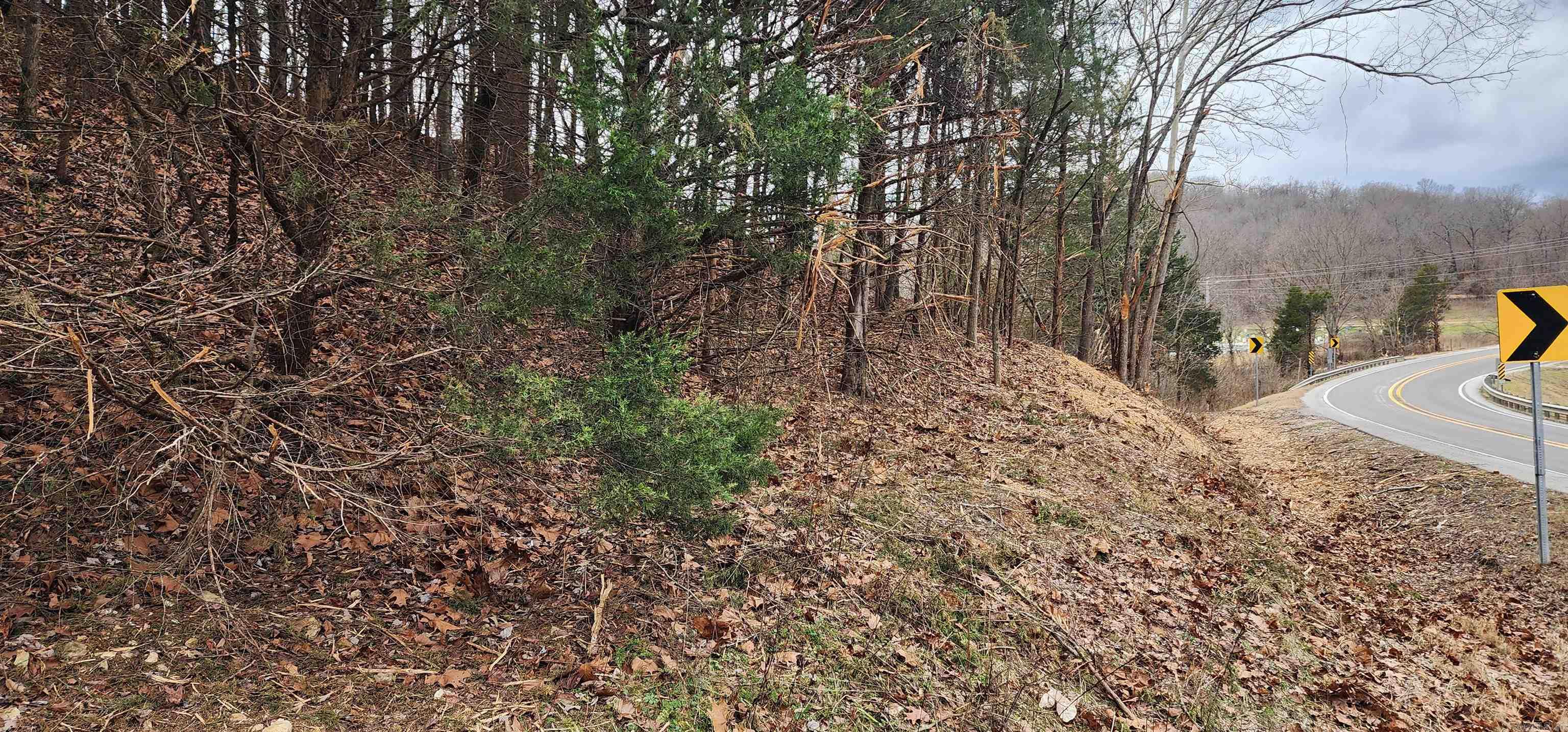 TBD SR 142  Green For., AR