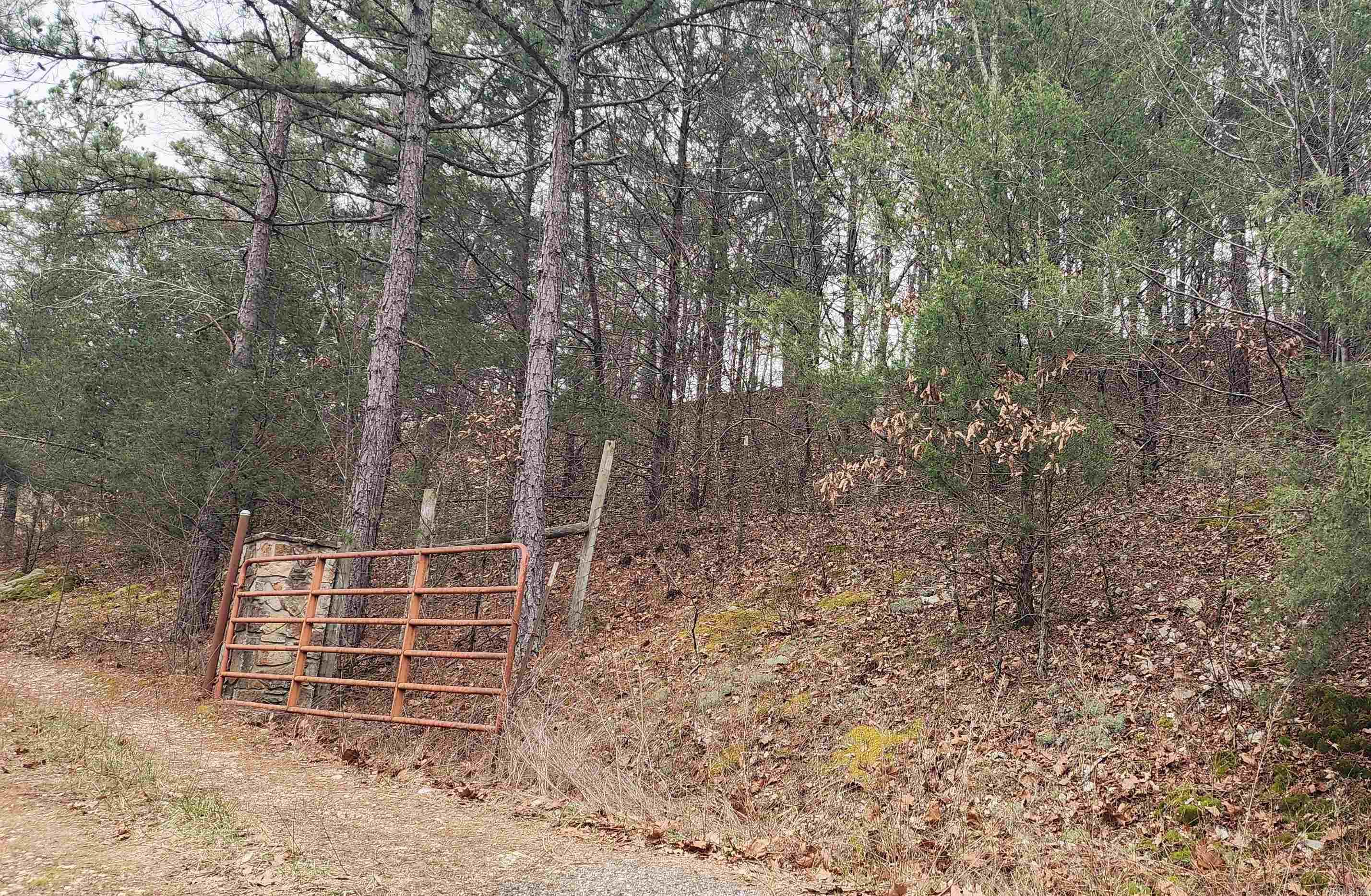 TBD SR 142  Green For., AR