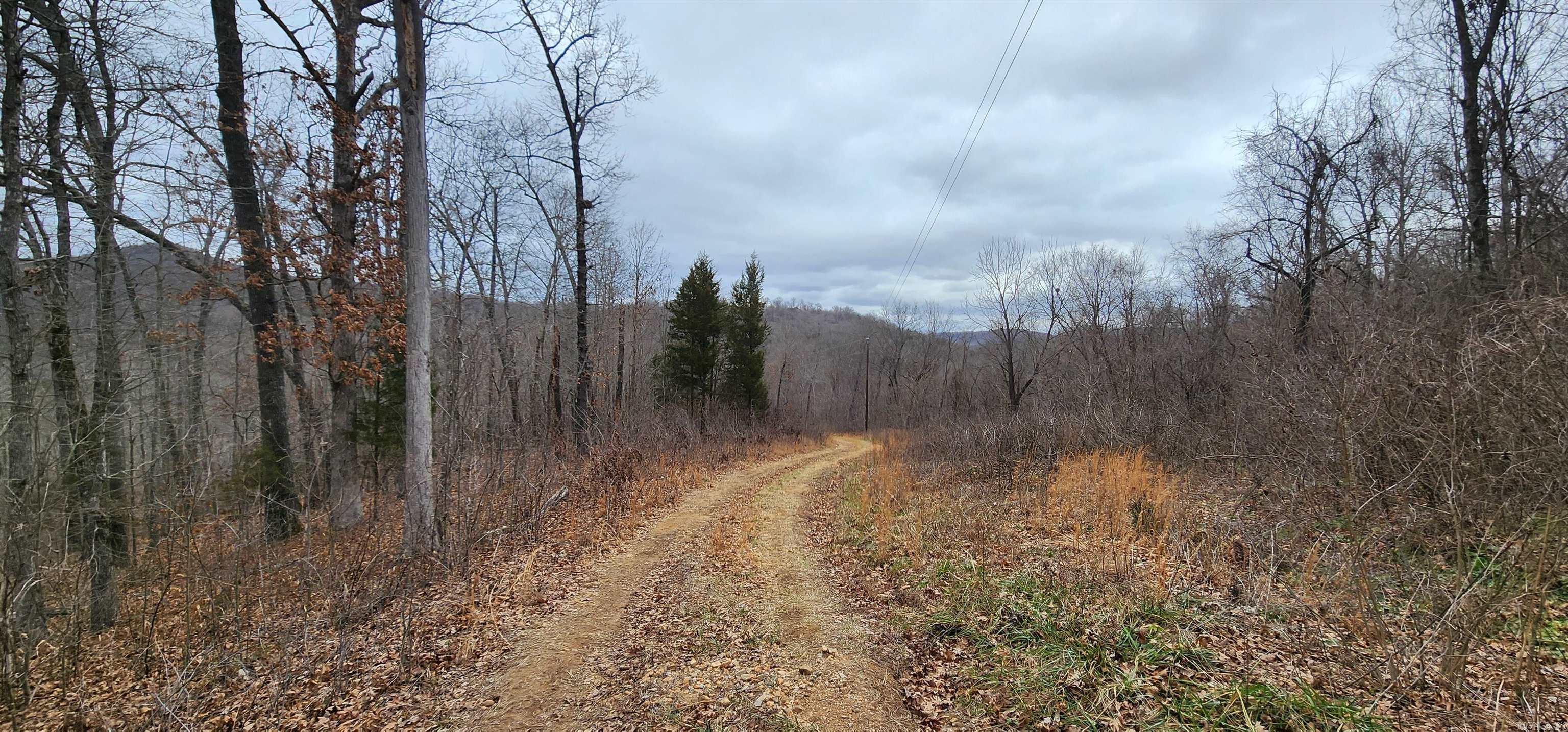 TBD SR 142  Green For., AR