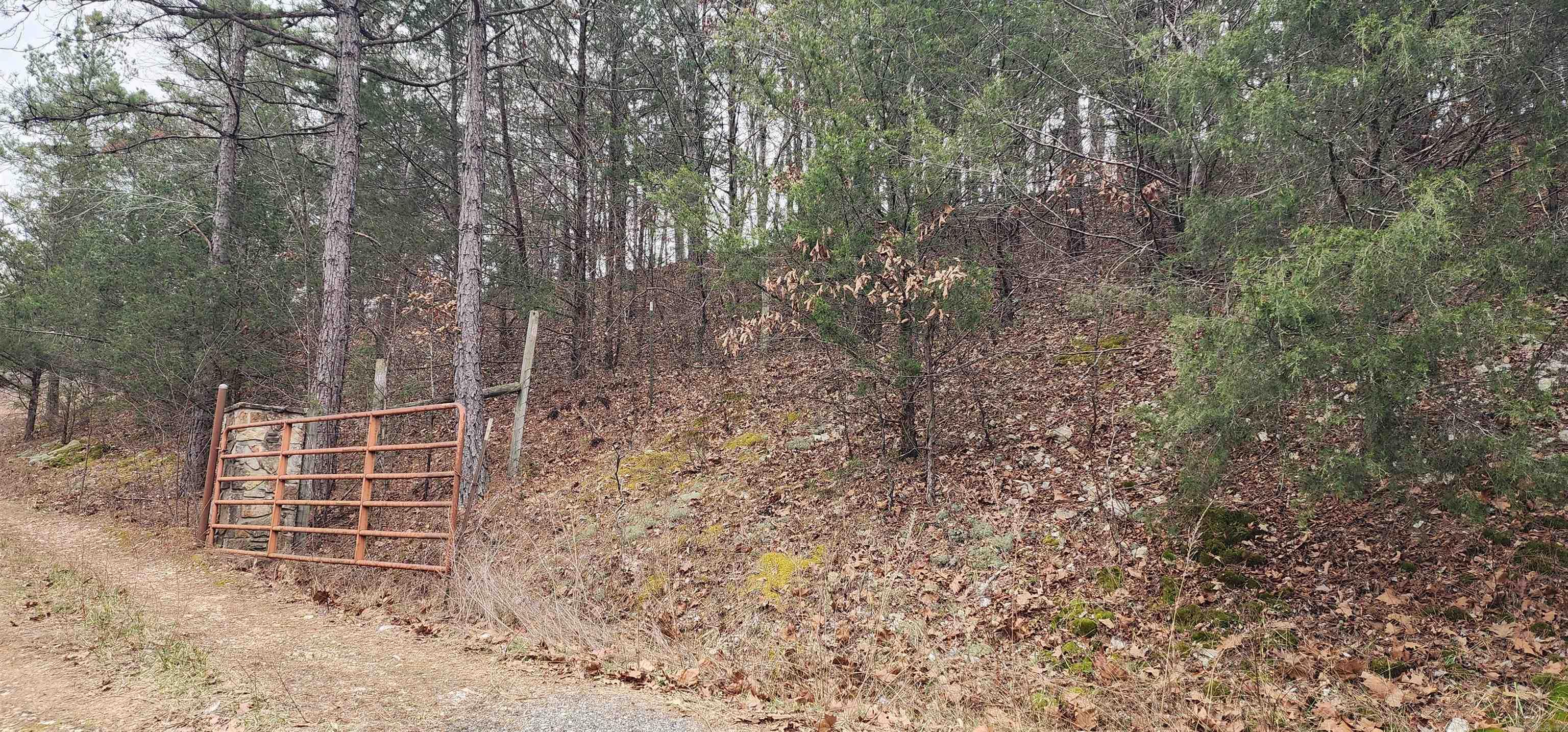 TBD SR 142  Green For., AR