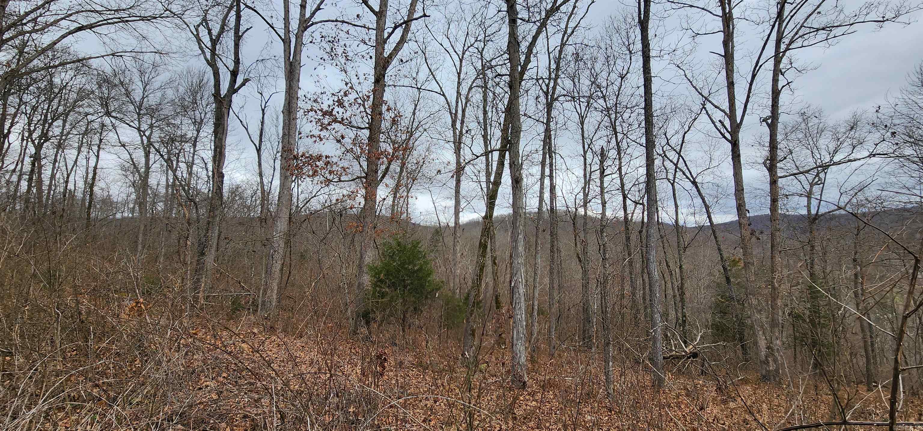 TBD SR 142  Green For., AR