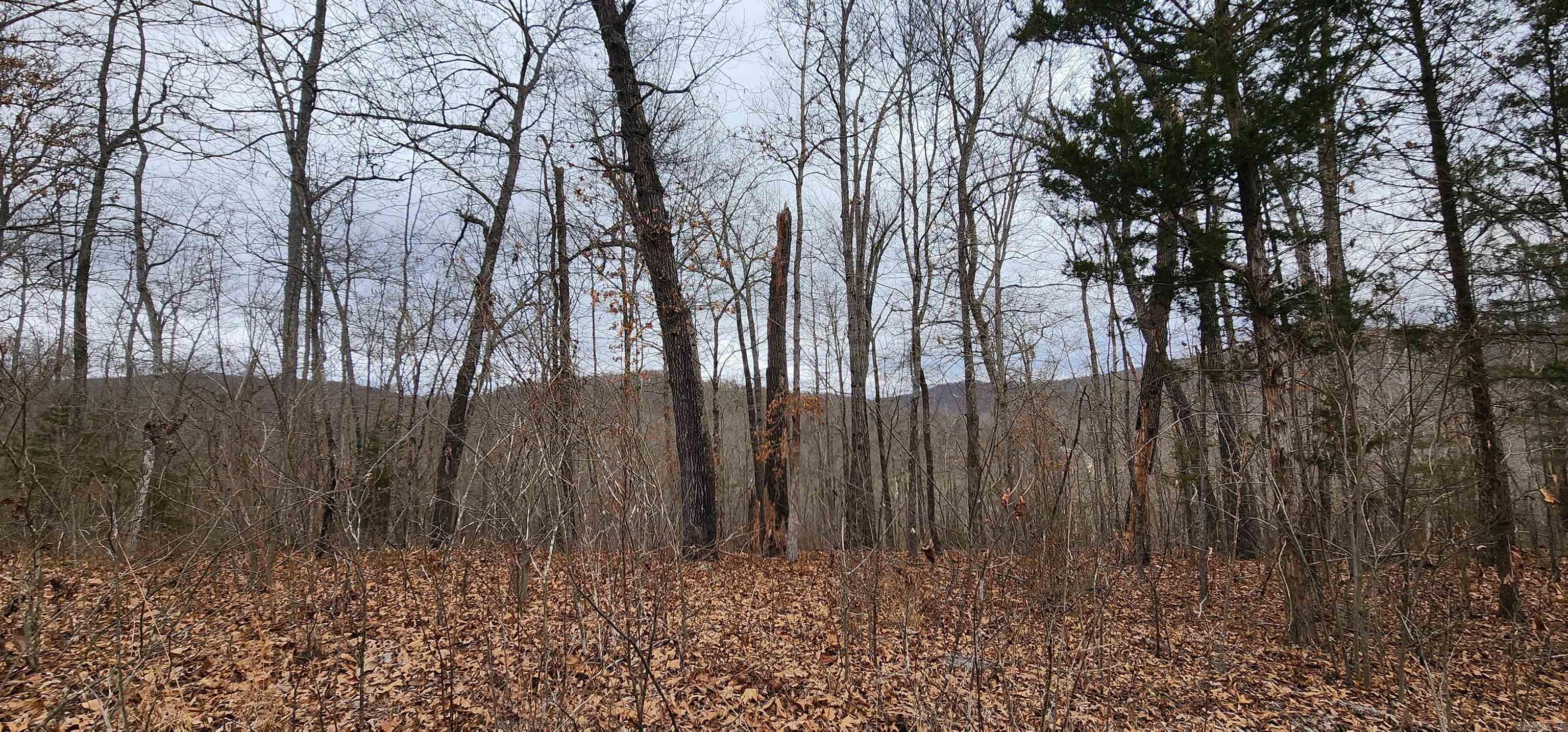 TBD SR 142  Green For., AR