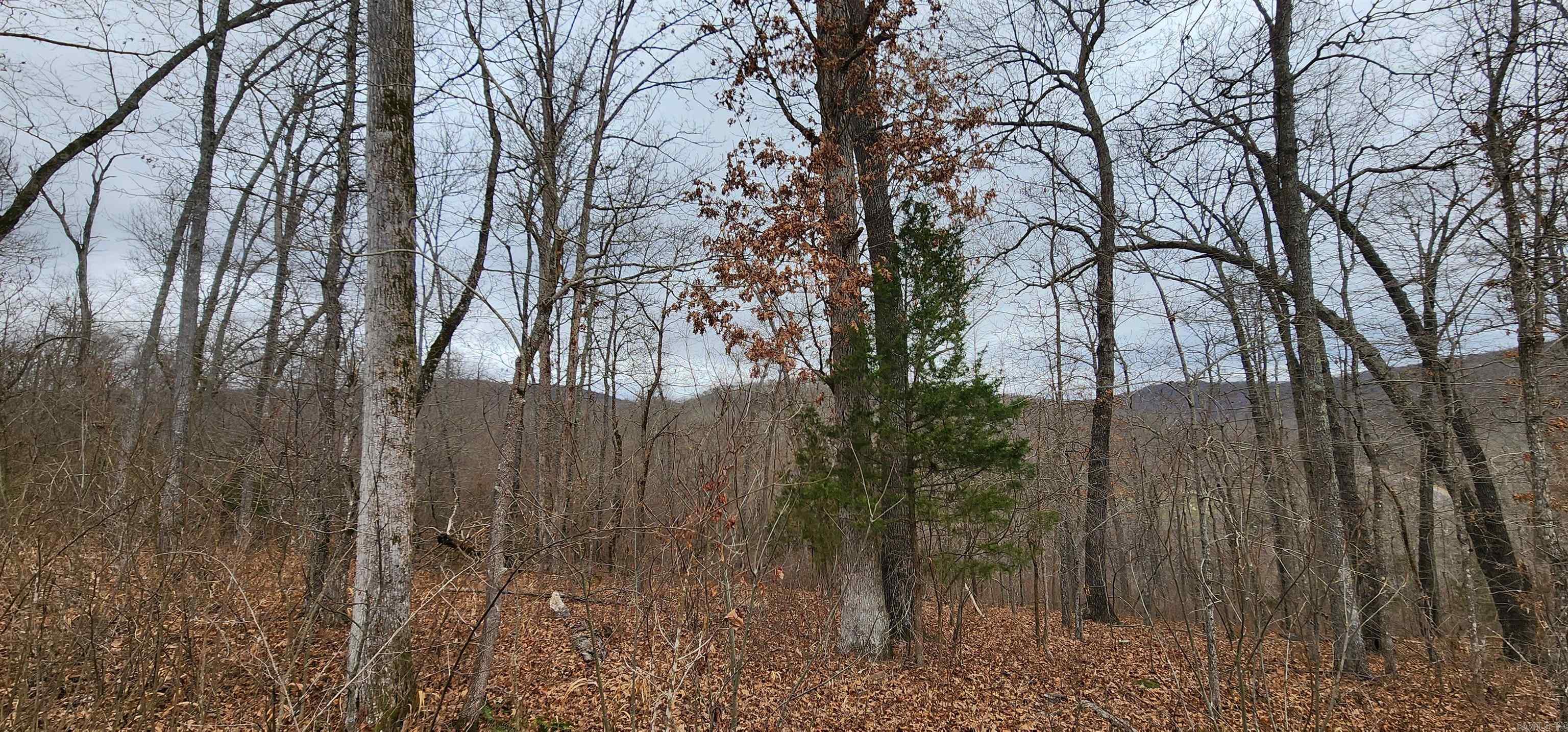 TBD SR 142  Green For., AR