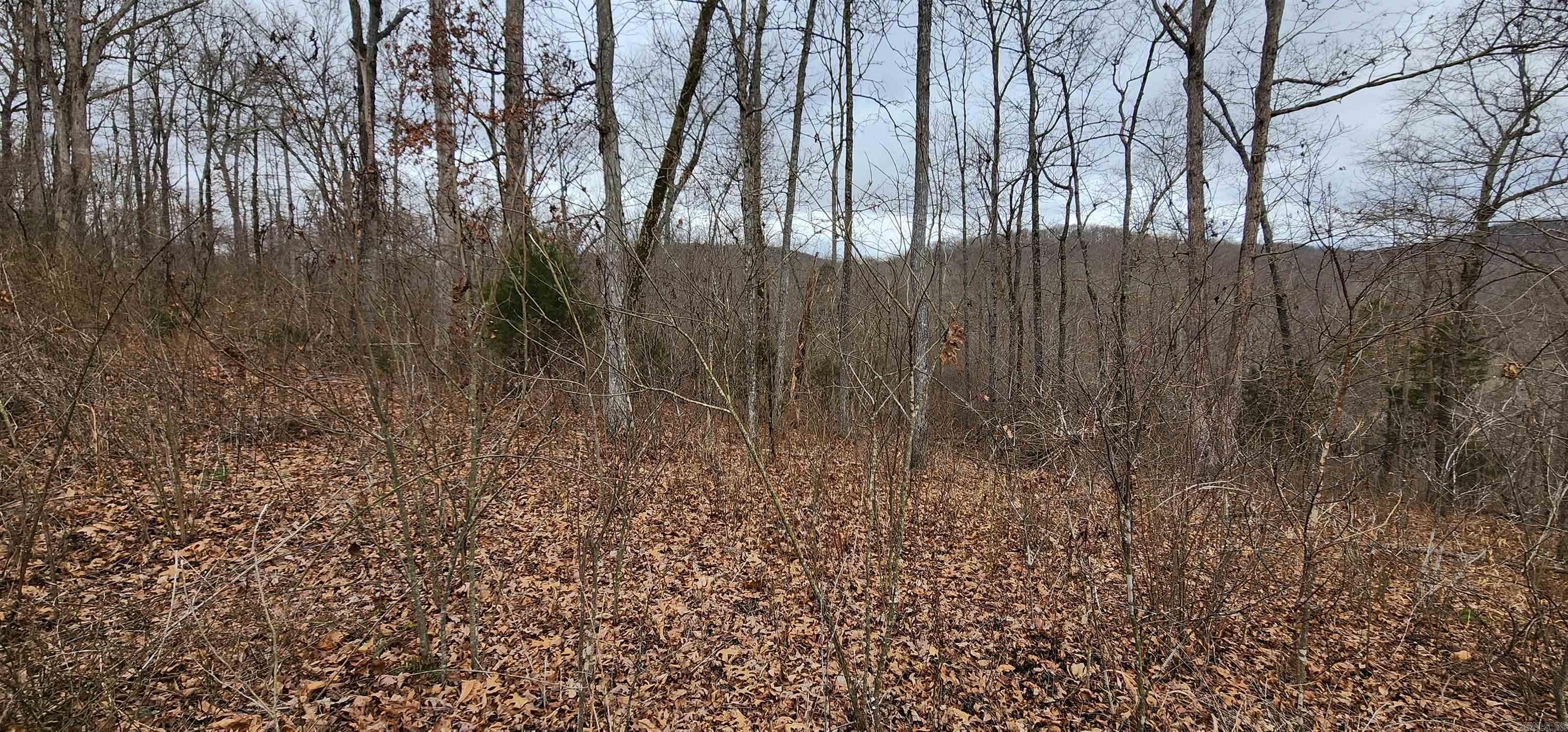 TBD SR 142  Green For., AR