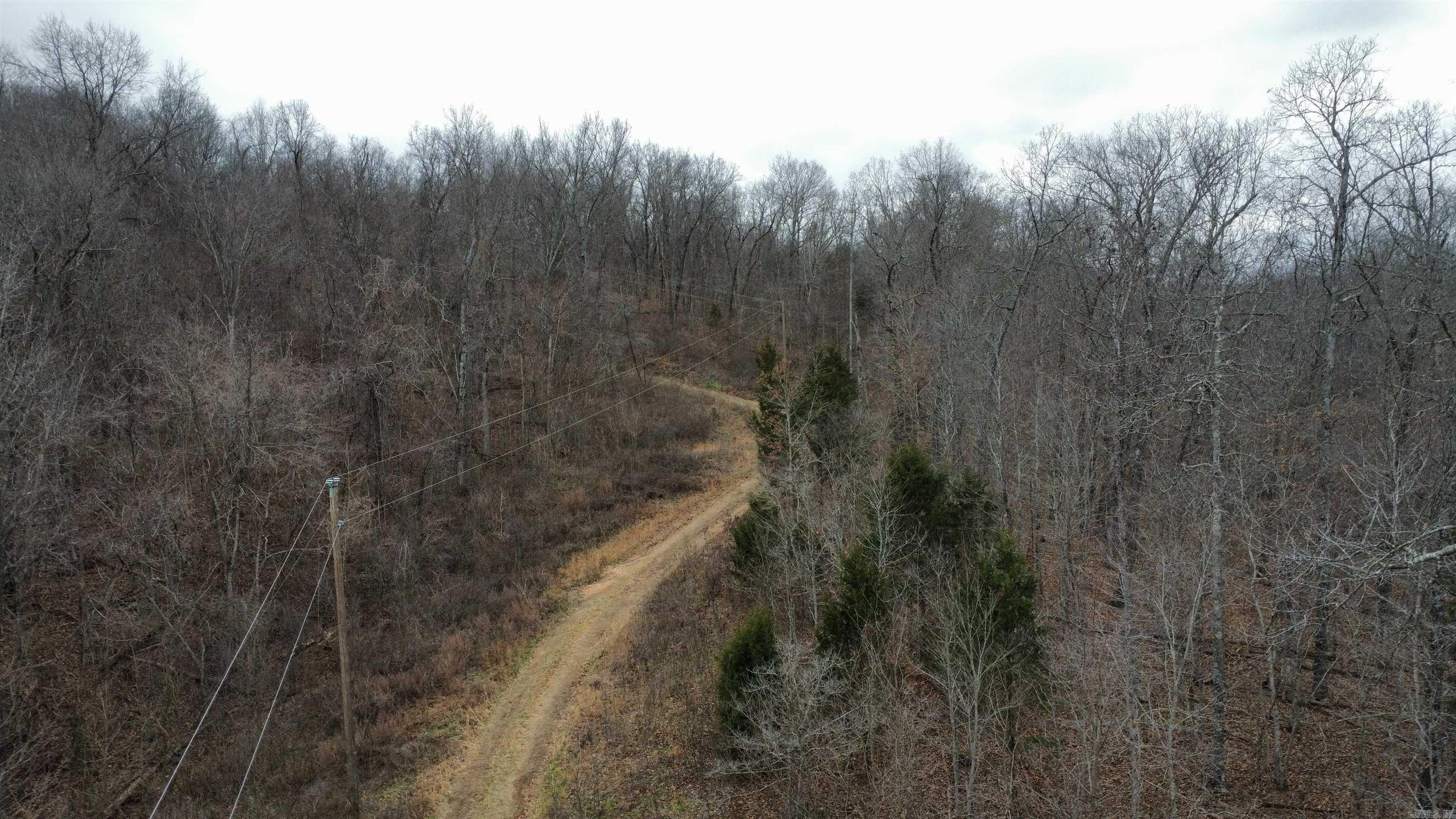 TBD SR 142  Green For., AR